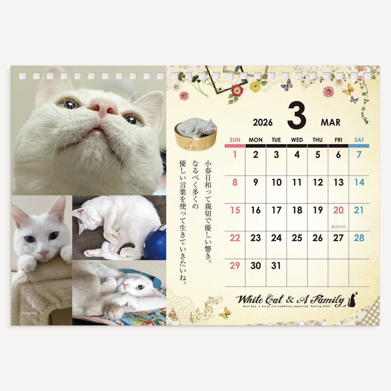 ある家族と、白い迷い猫。2026年オリジナル卓上カレンダー