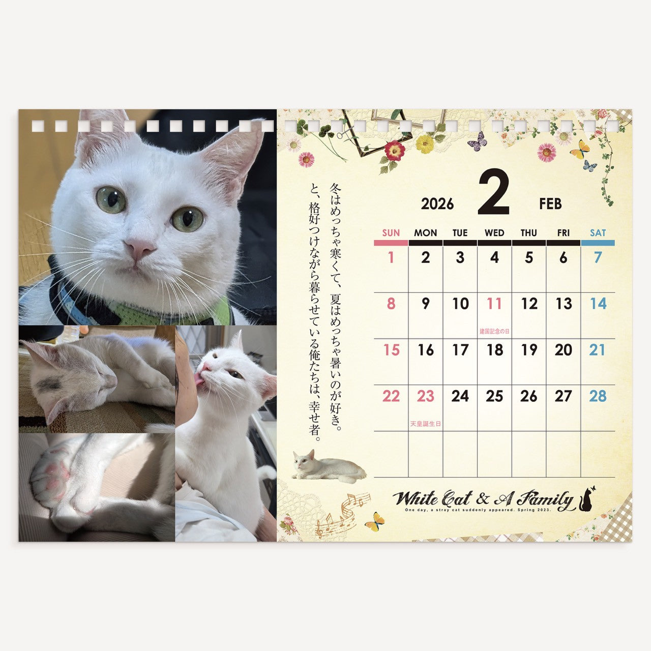 ある家族と、白い迷い猫。2026年オリジナル卓上カレンダー