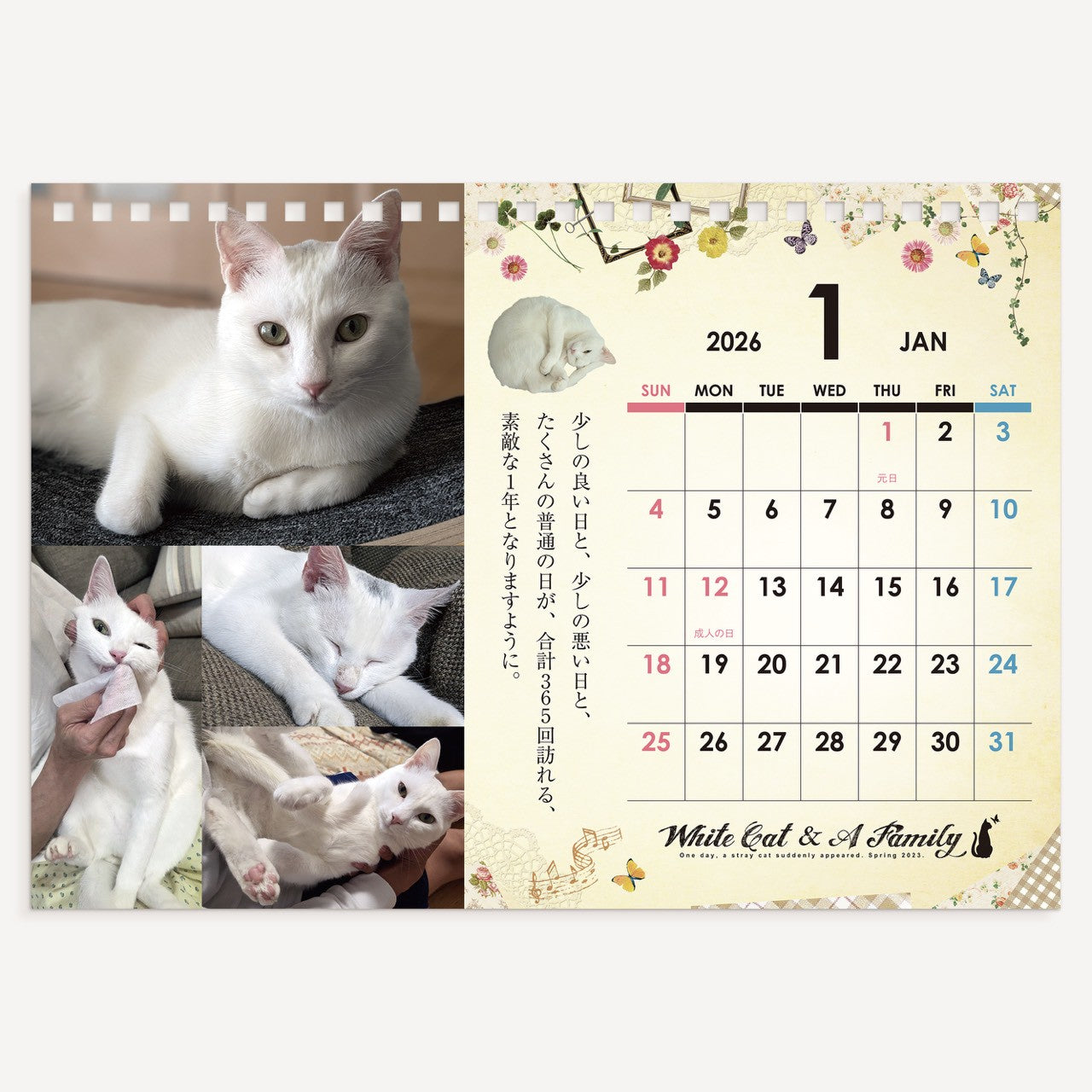 ある家族と、白い迷い猫。2026年オリジナル卓上カレンダー