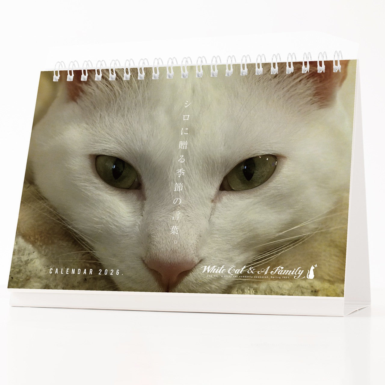 ある家族と、白い迷い猫。2026年オリジナル卓上カレンダー