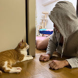 胸男