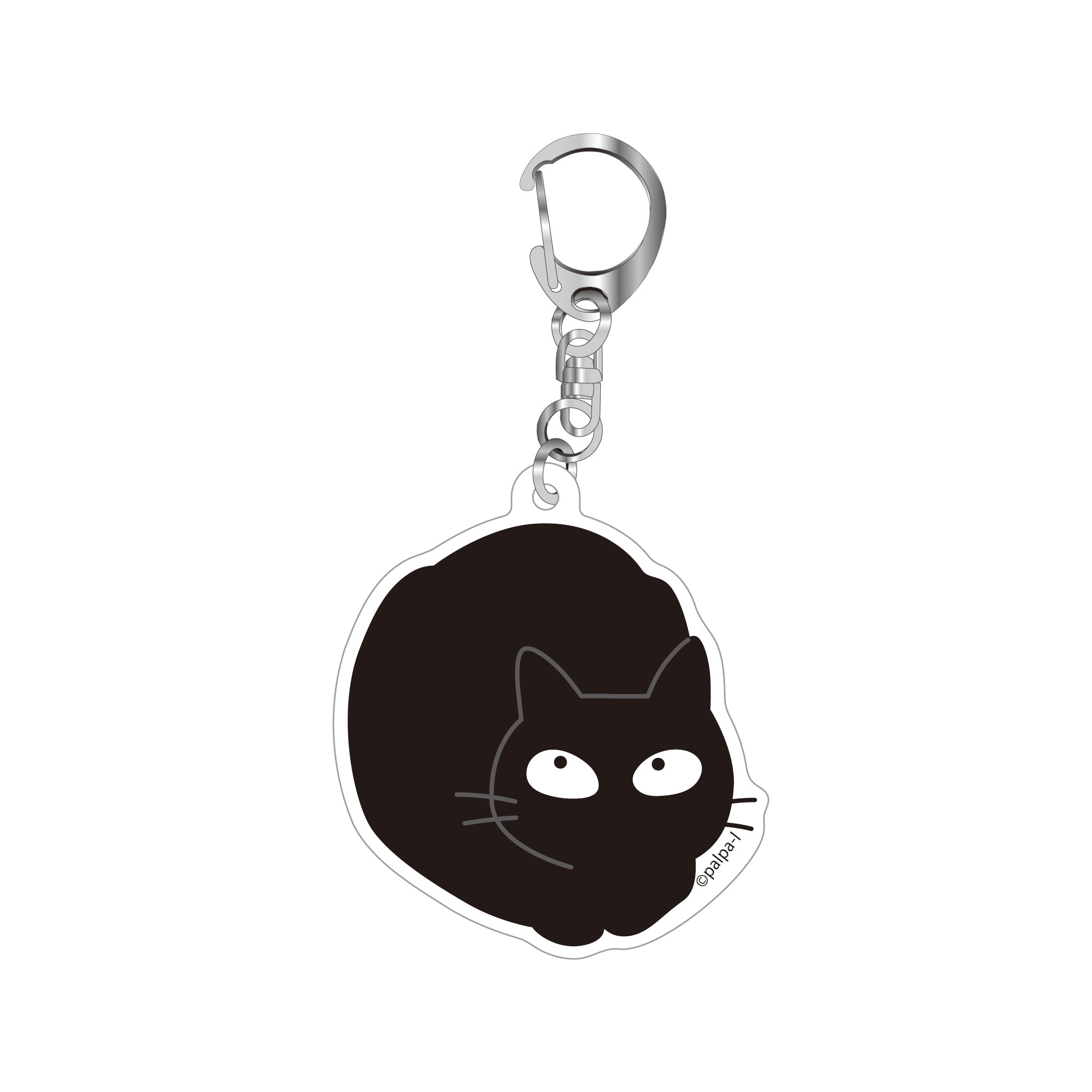 ナノアクキー(送料無料)