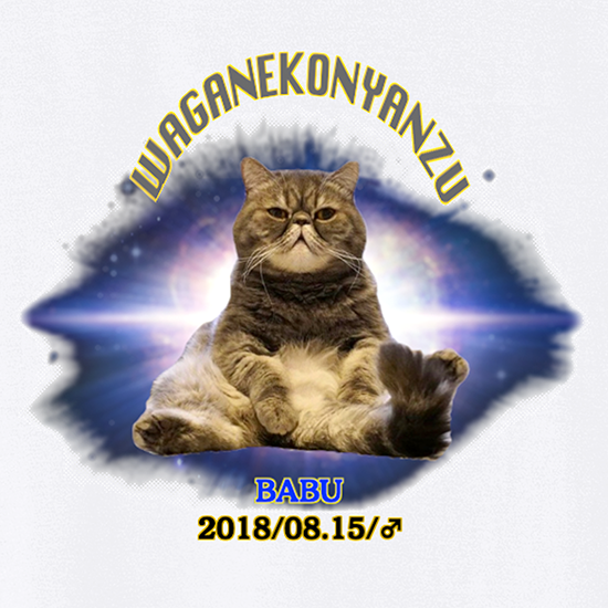 宇宙戦隊 ばぶTシャツ
