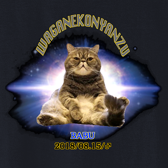 宇宙戦隊 ばぶTシャツ