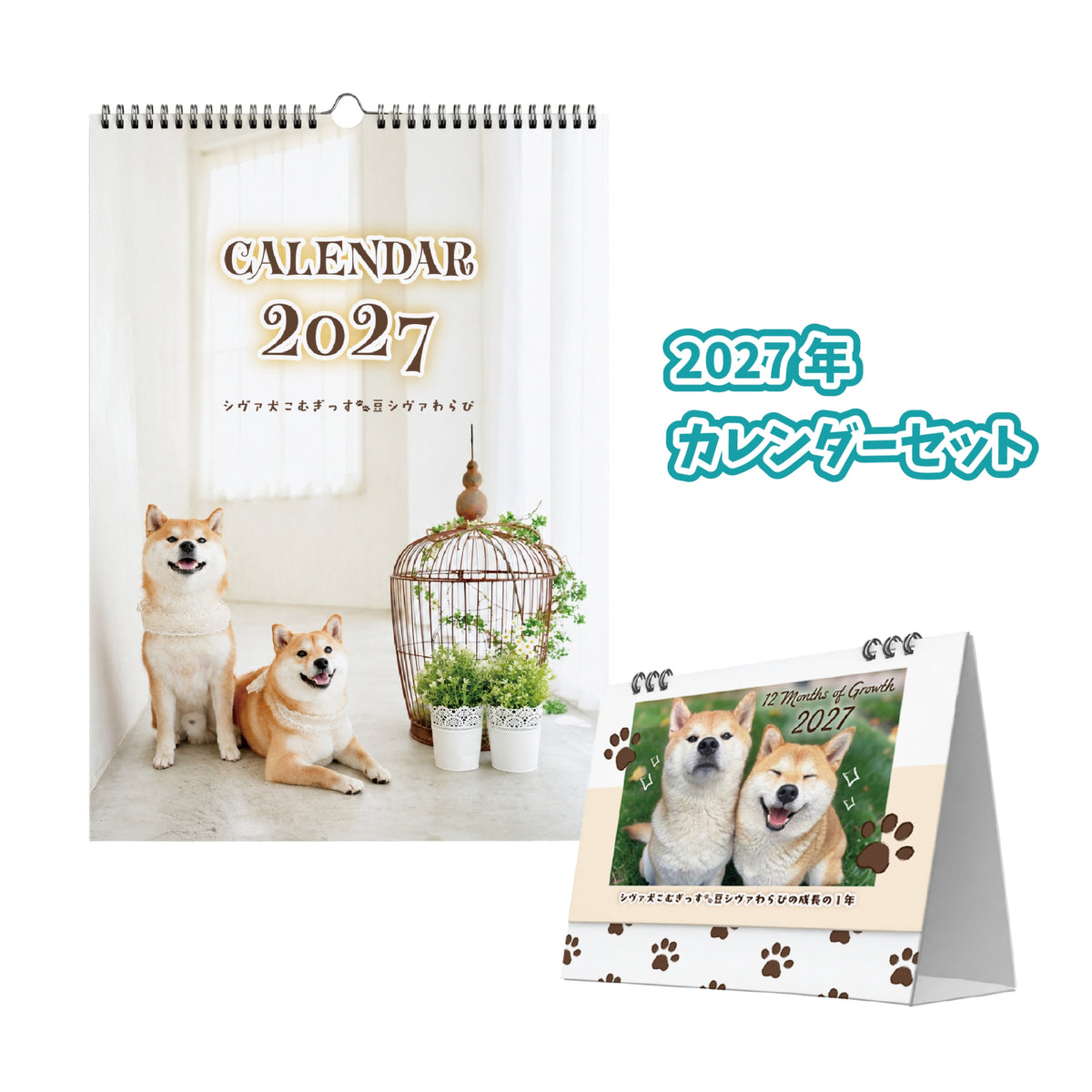 シヴァ犬こむぎっす🐾豆シヴァわらびのカレンダーセット