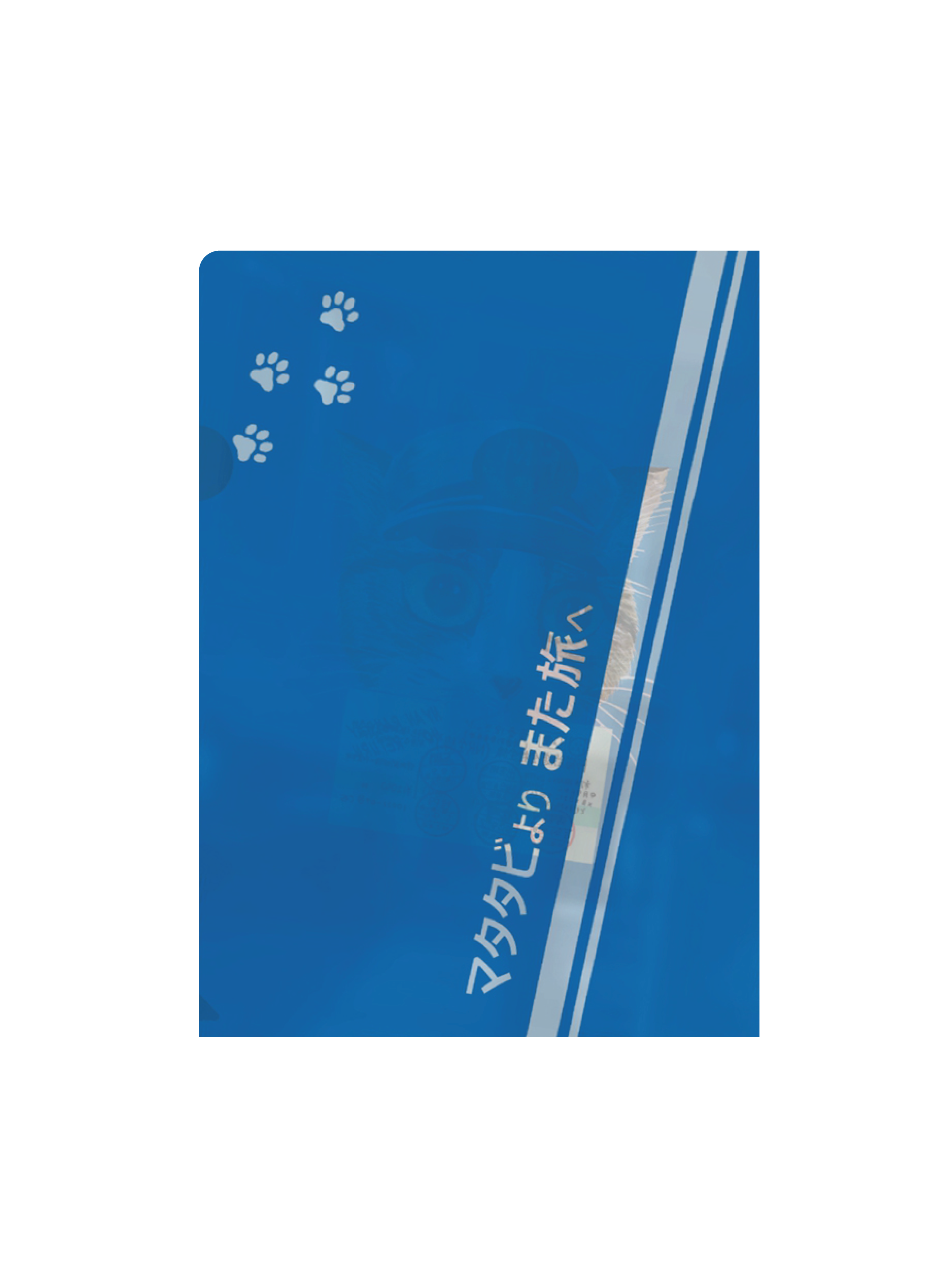 トラ猫 クリアファイル（５枚入セット）