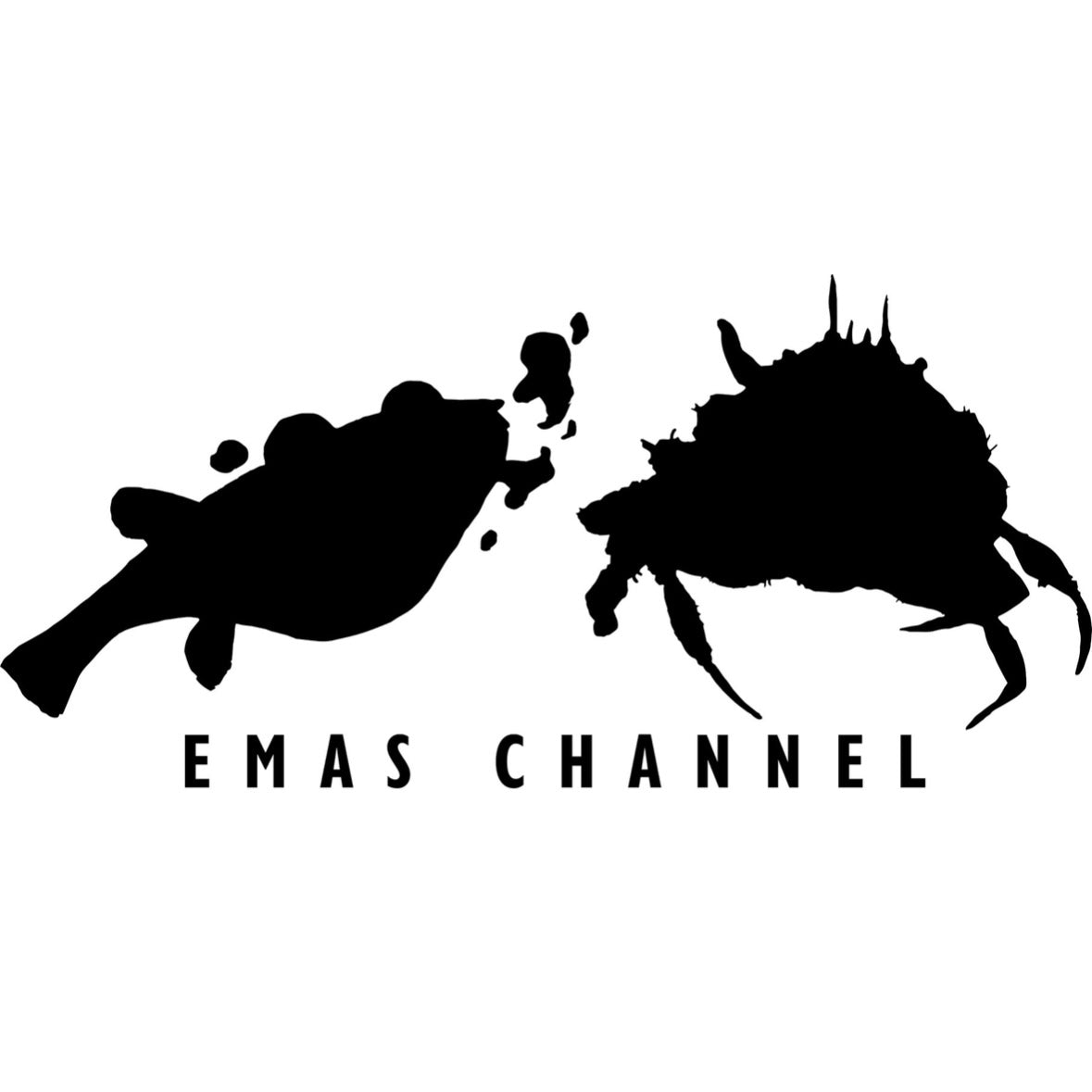 エマスシルエットＴシャツ