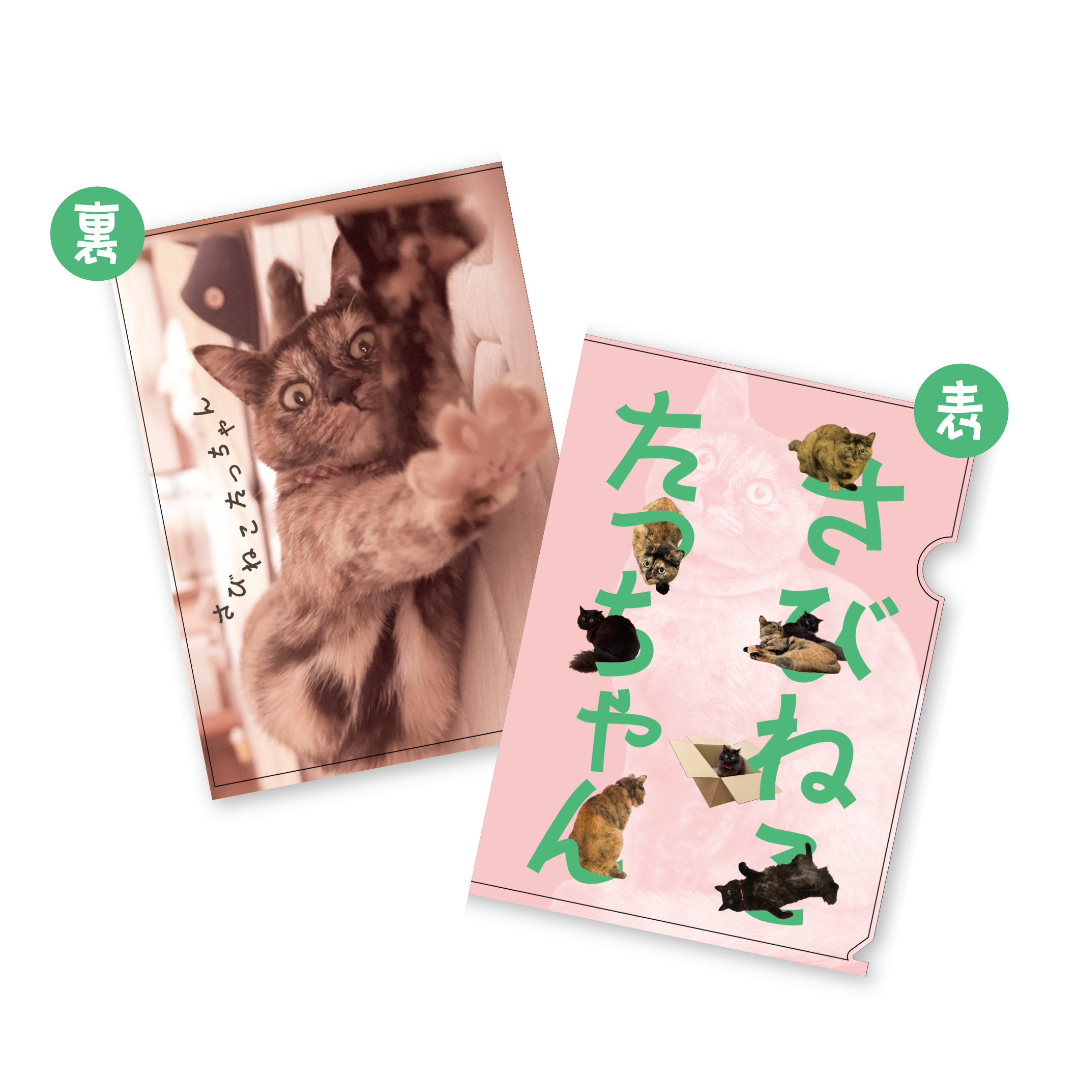 【送料無料】たっちゃん＆みっちゃんクリアファイル