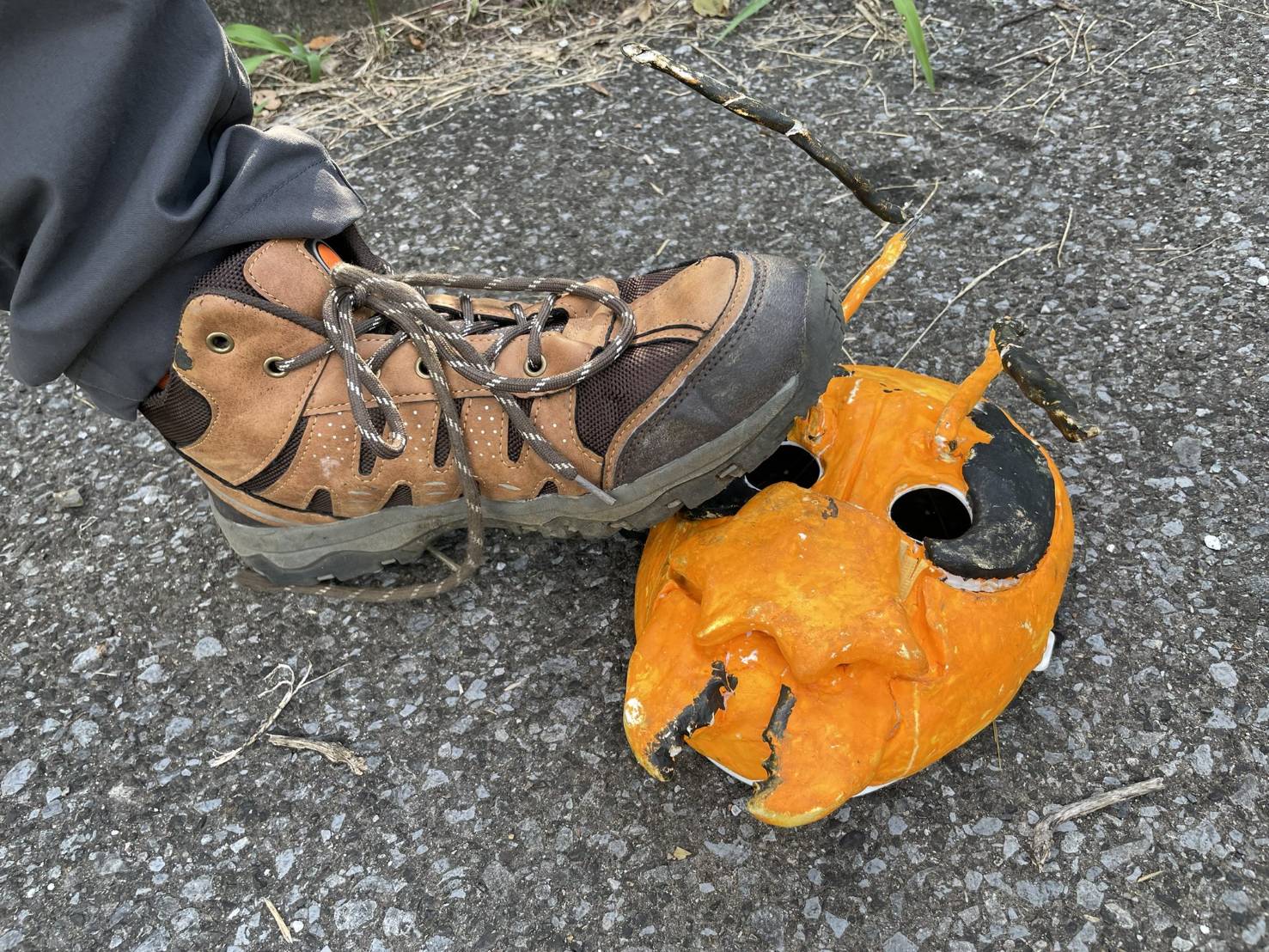 スズメバチ仮面ヒロポン(33歳無職) – Orizum.world