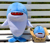 サメセット