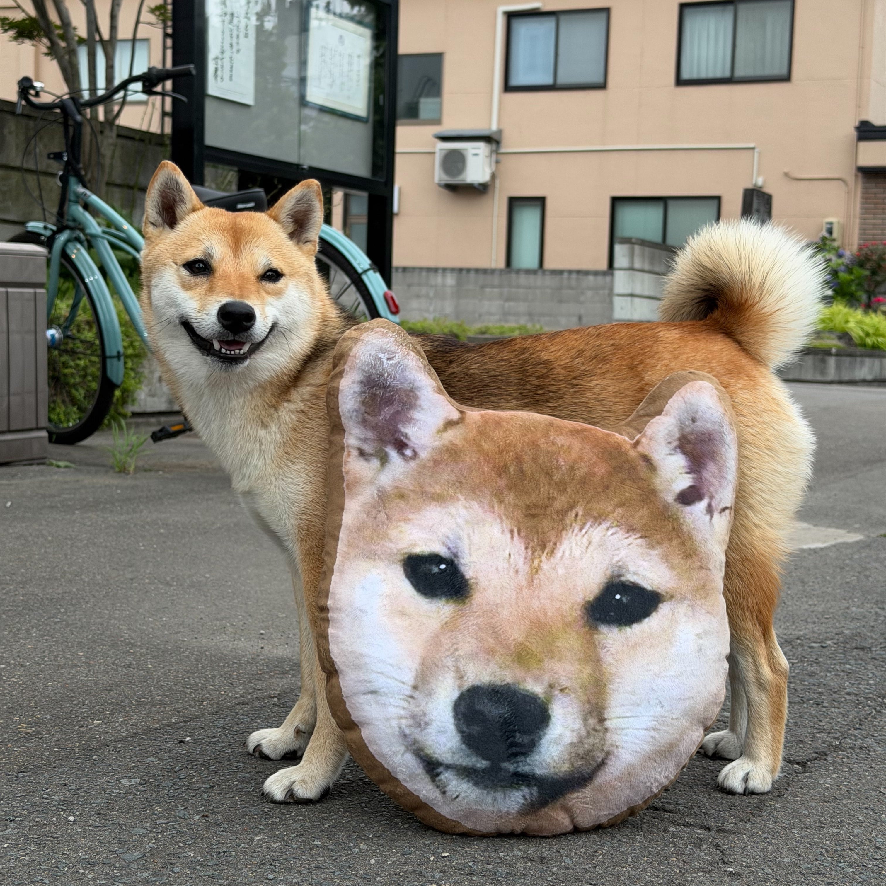 さんちゃんクッション