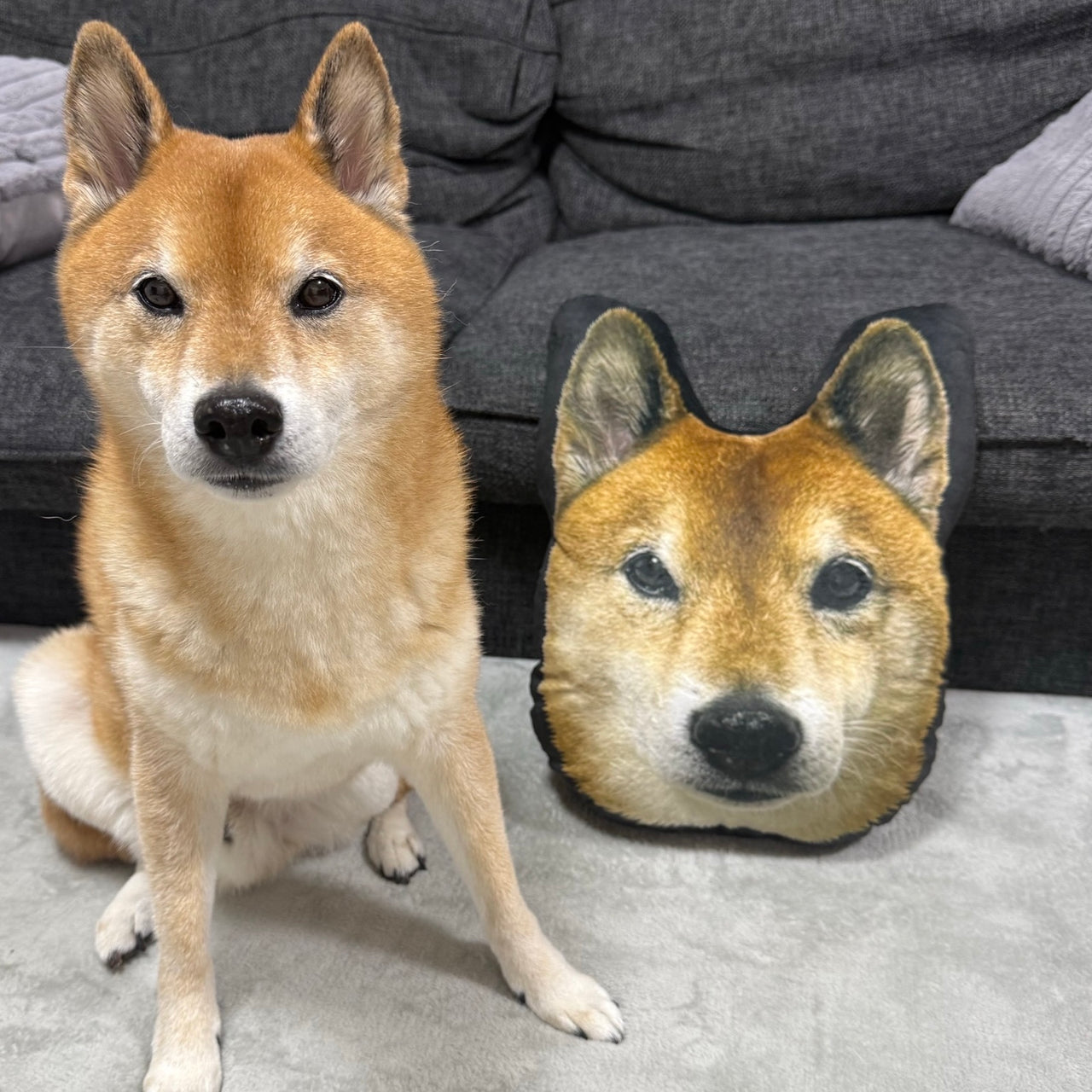 【数量限定】クセ柴兄弟クッション