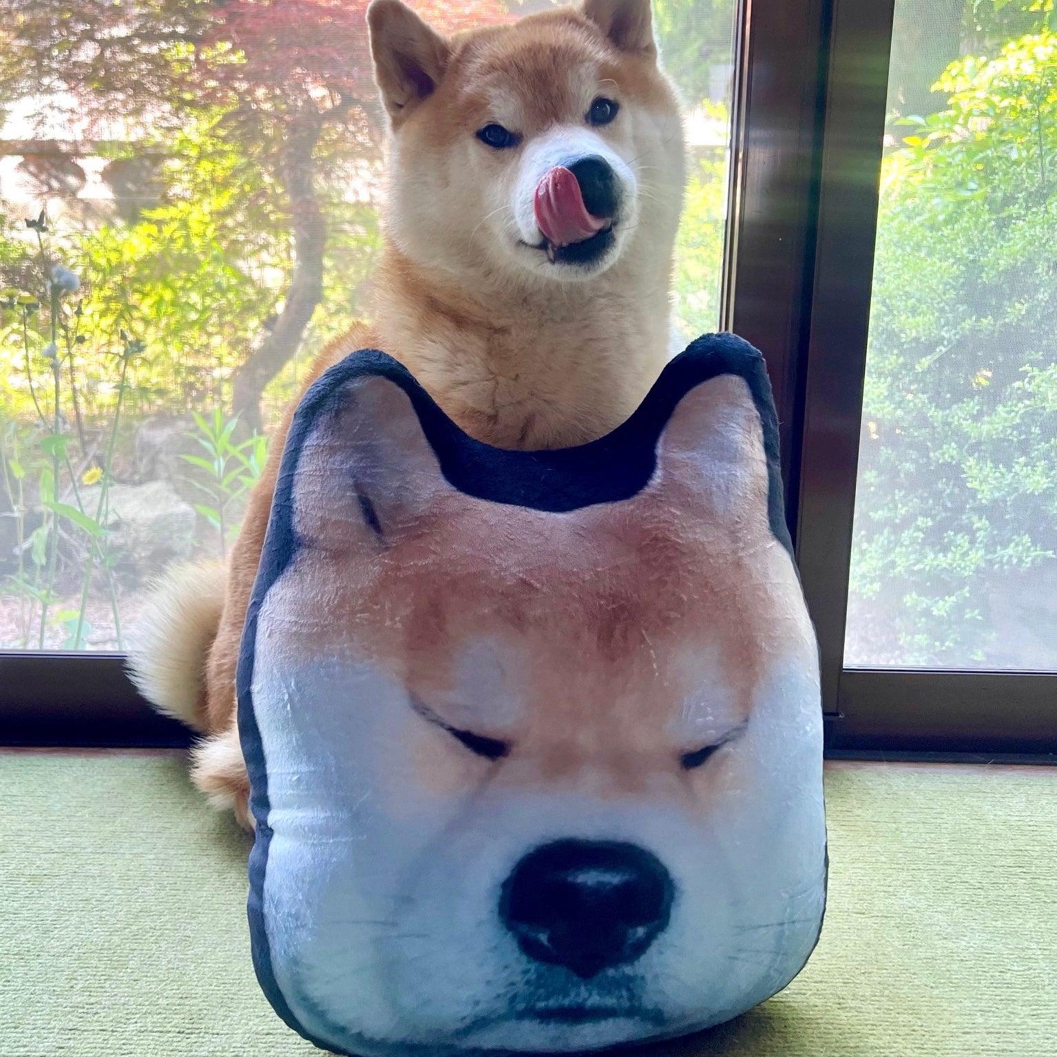 柴パンクッション