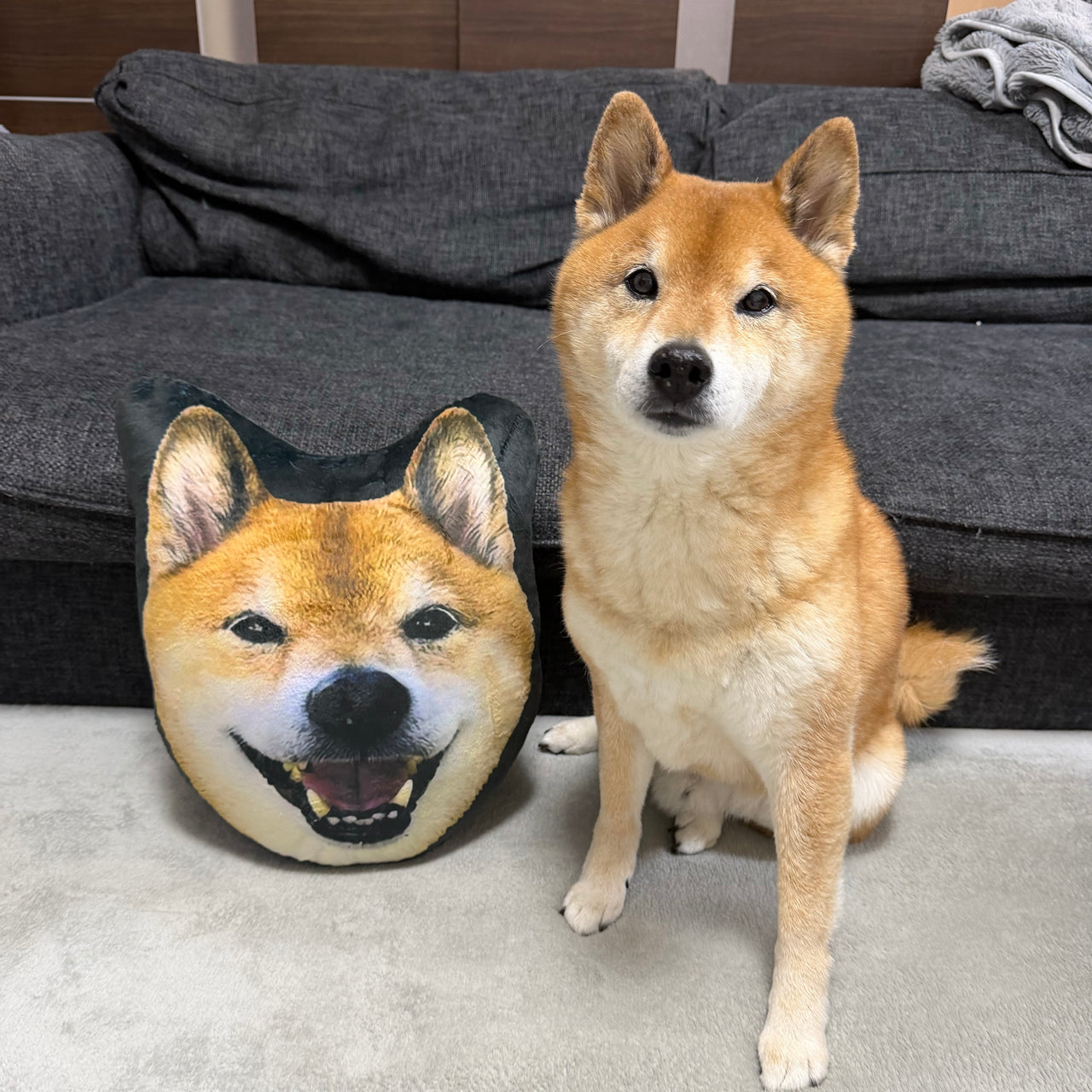 【数量限定】とびきり笑顔クッション
