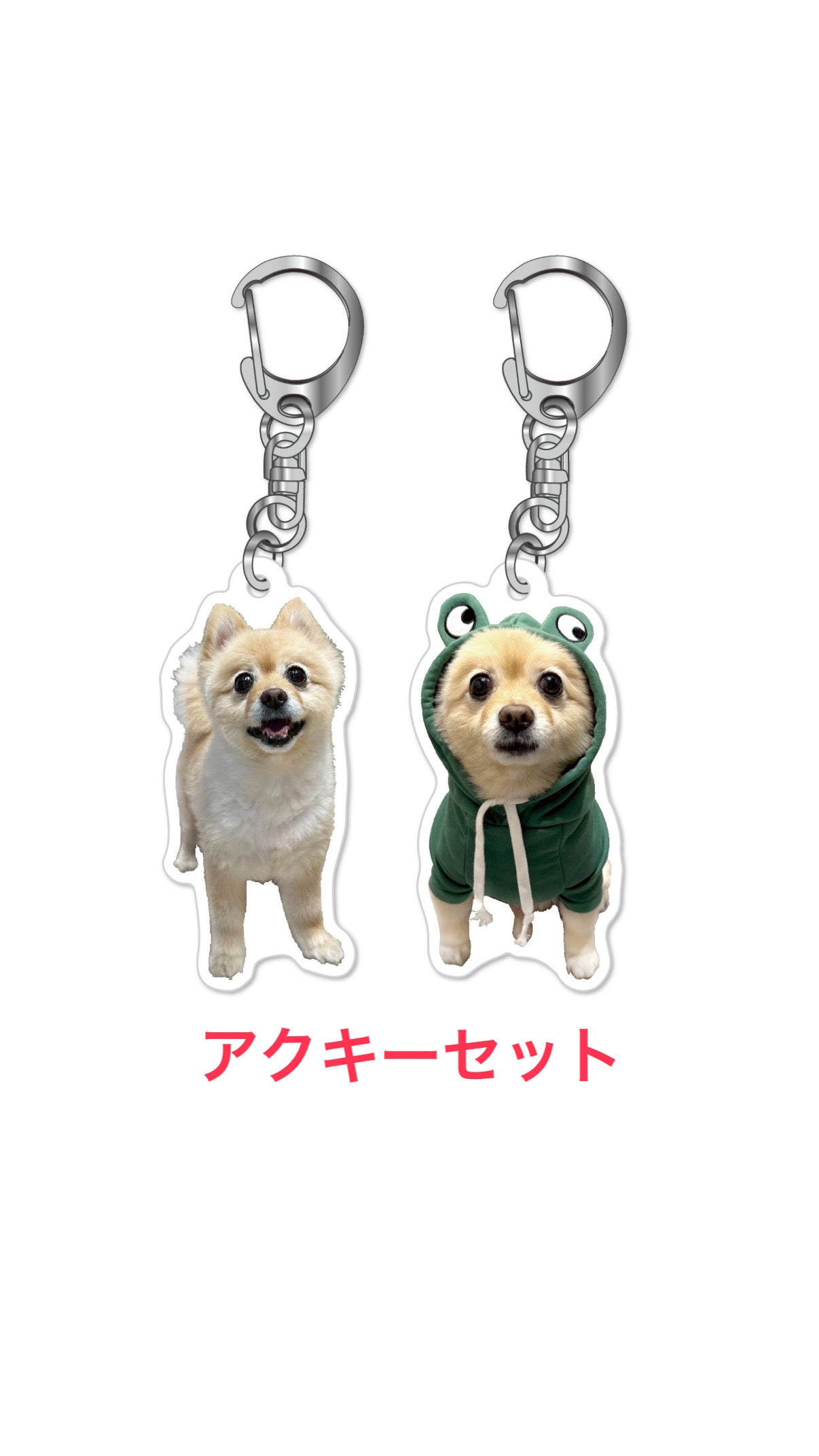 ポメくんアクキーセット