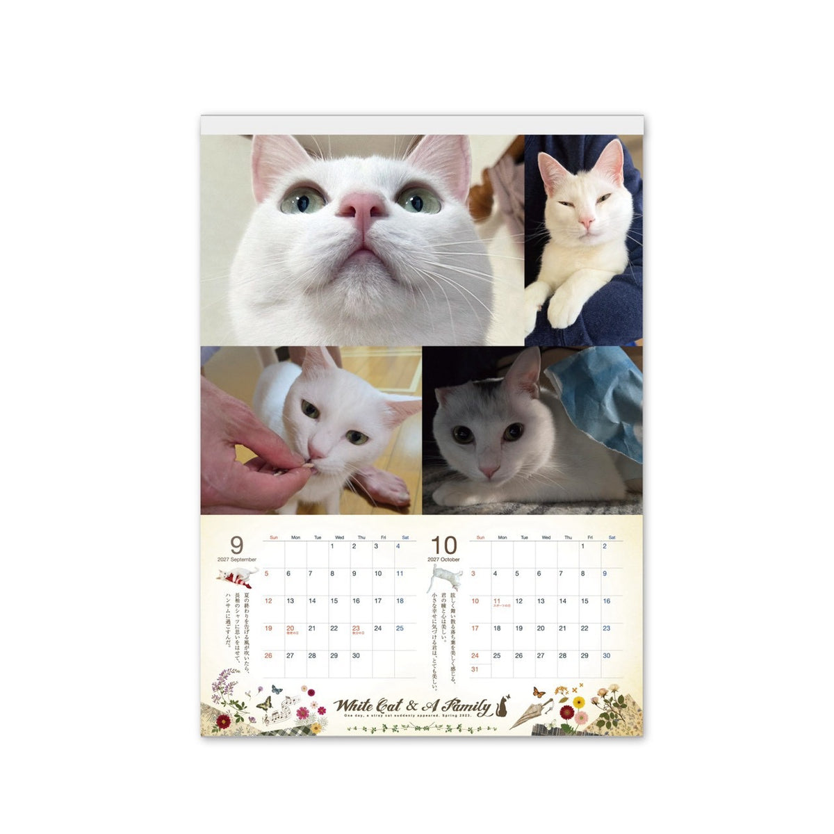 ある家族と、白い迷い猫。2027年オリジナル壁掛けカレンダー