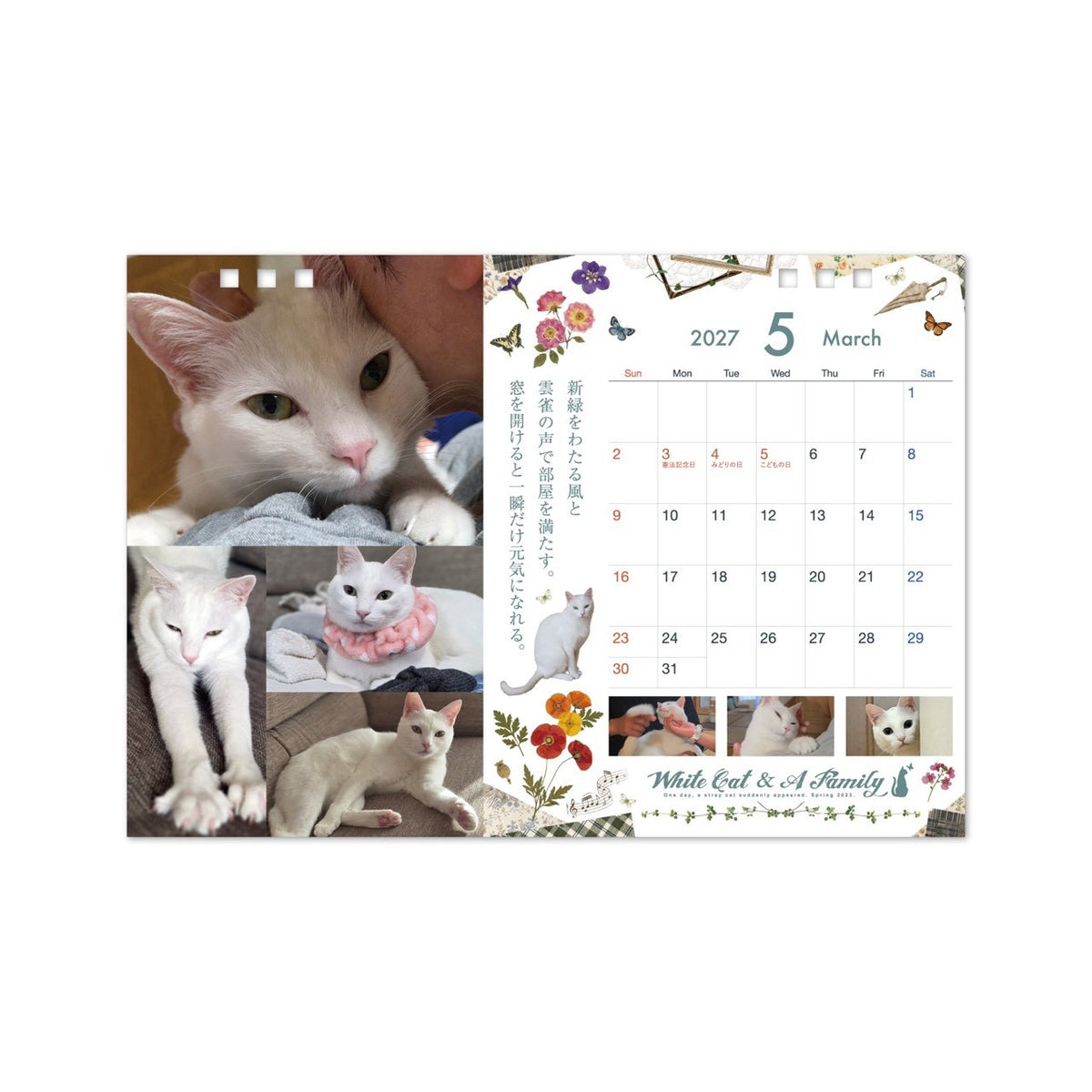 ある家族と、白い迷い猫。2027年オリジナル卓上カレンダー