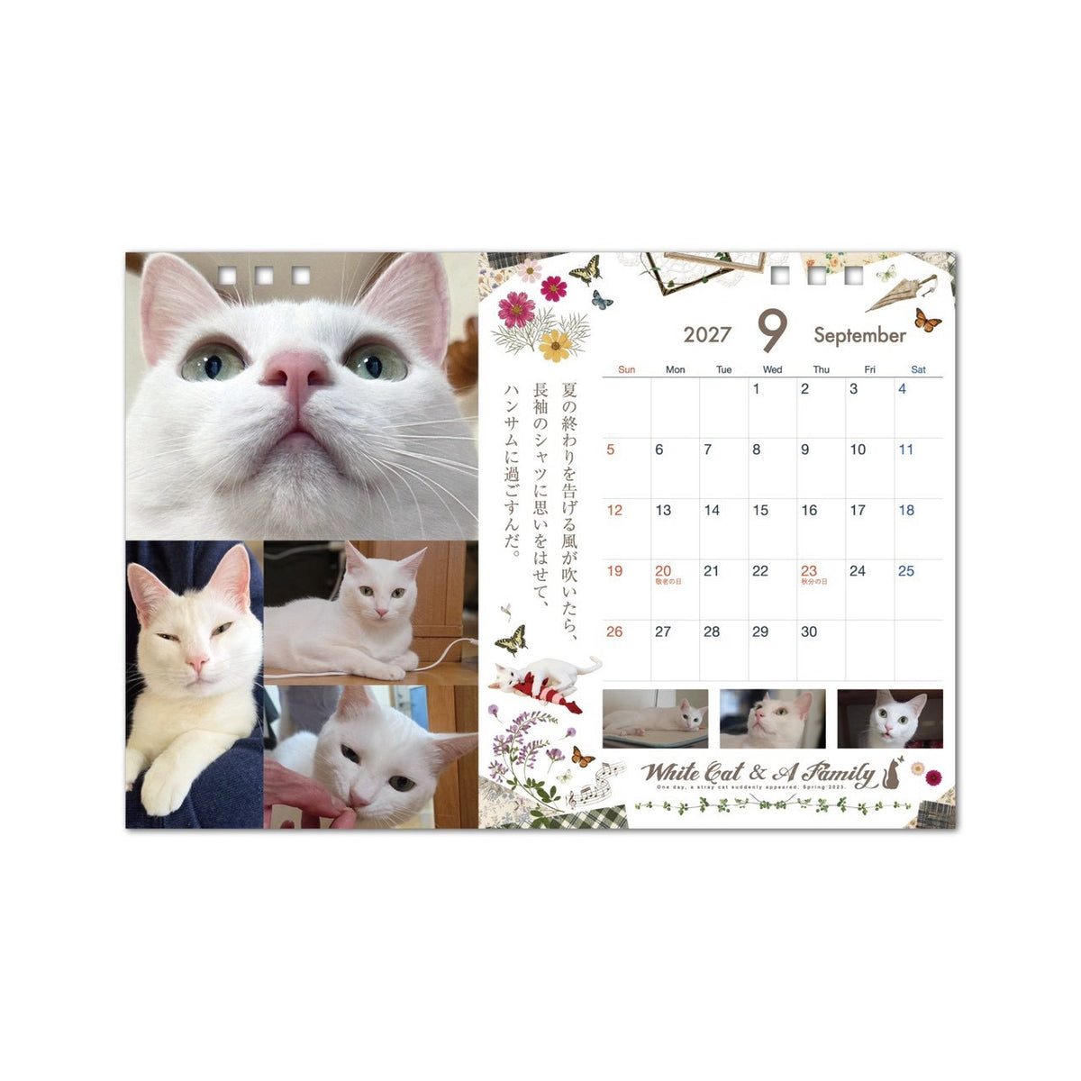 ある家族と、白い迷い猫。2027年オリジナル卓上カレンダー