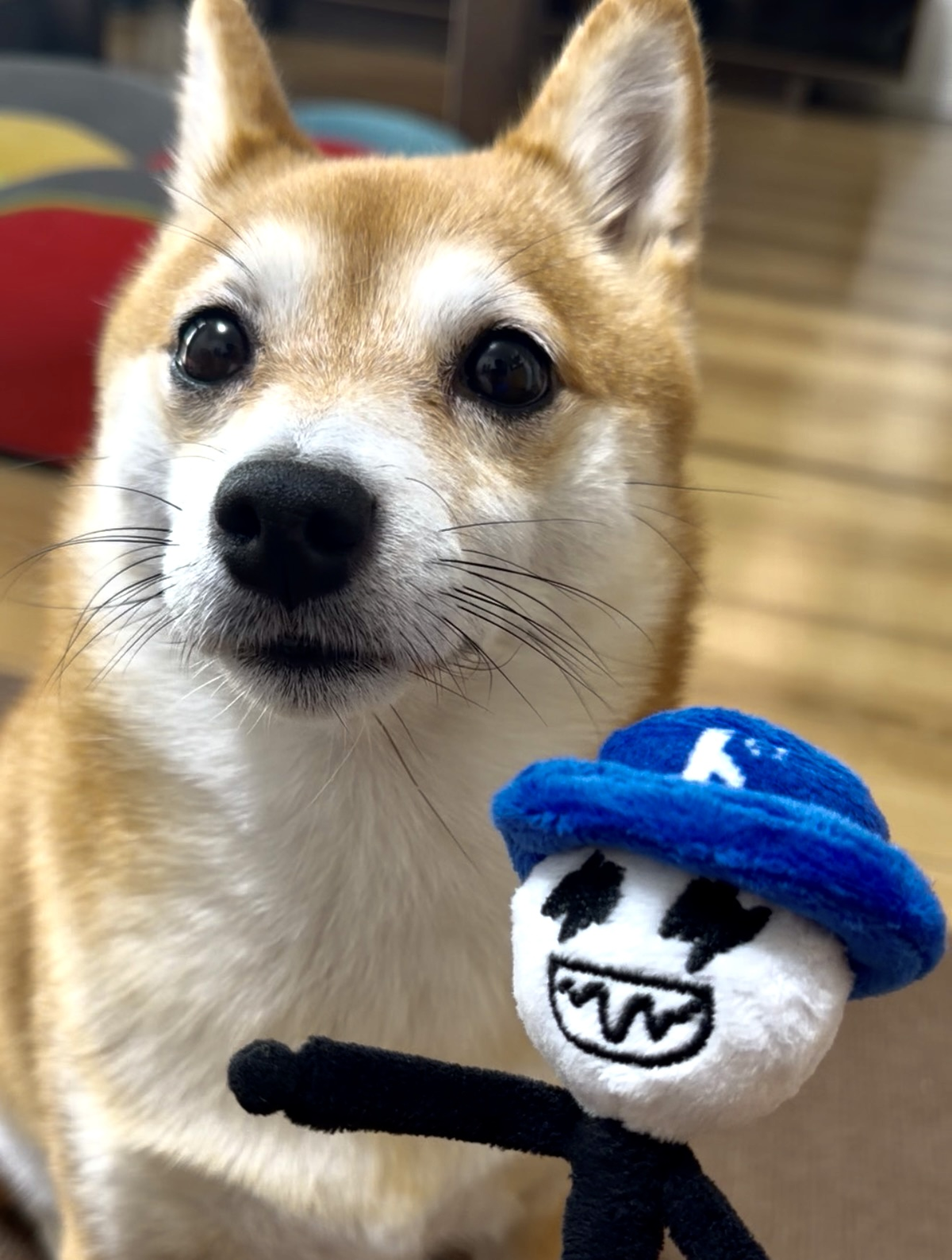ドラにしぬいぐるみキーホルダー
