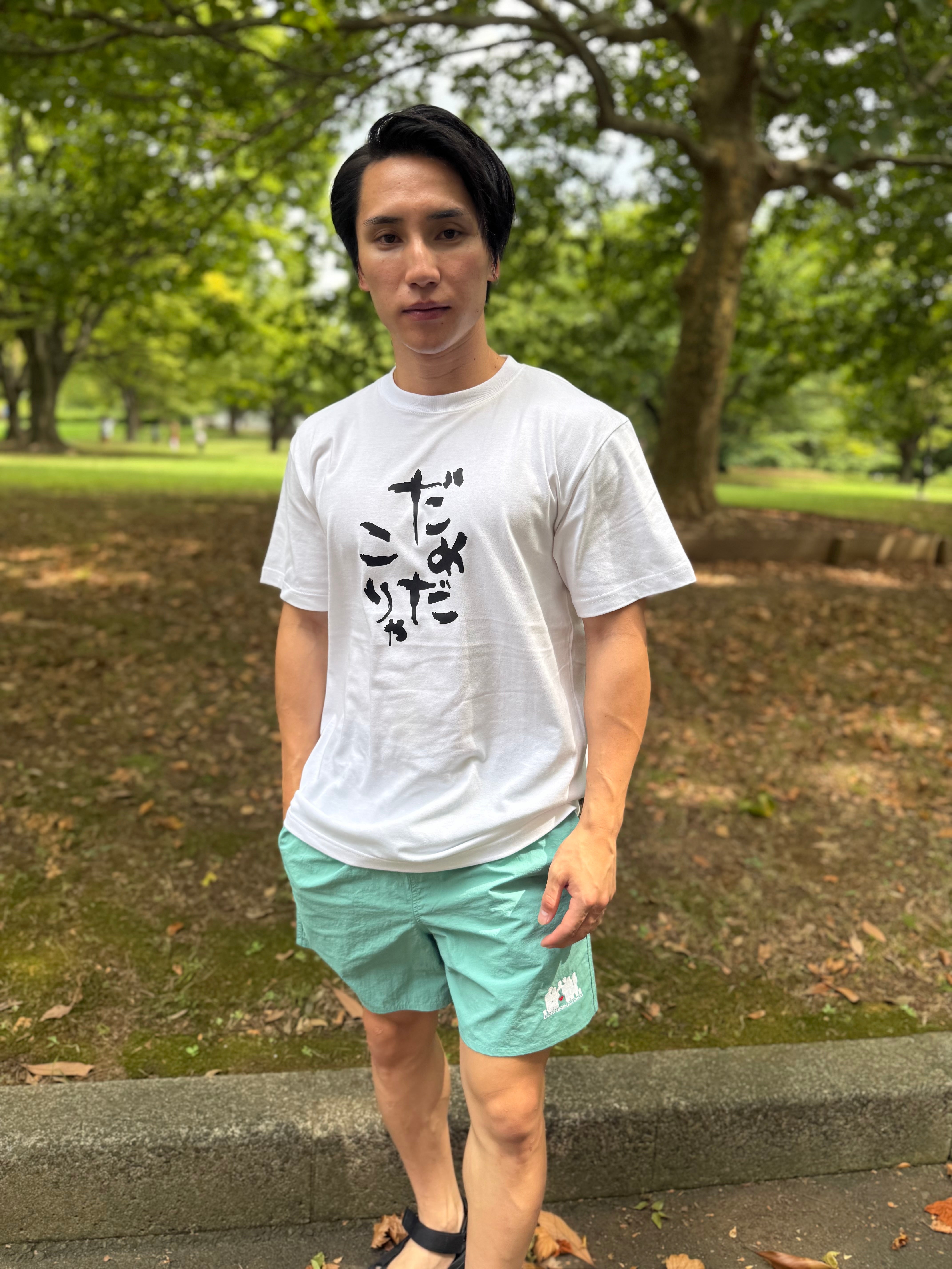 だめだこりゃTシャツ