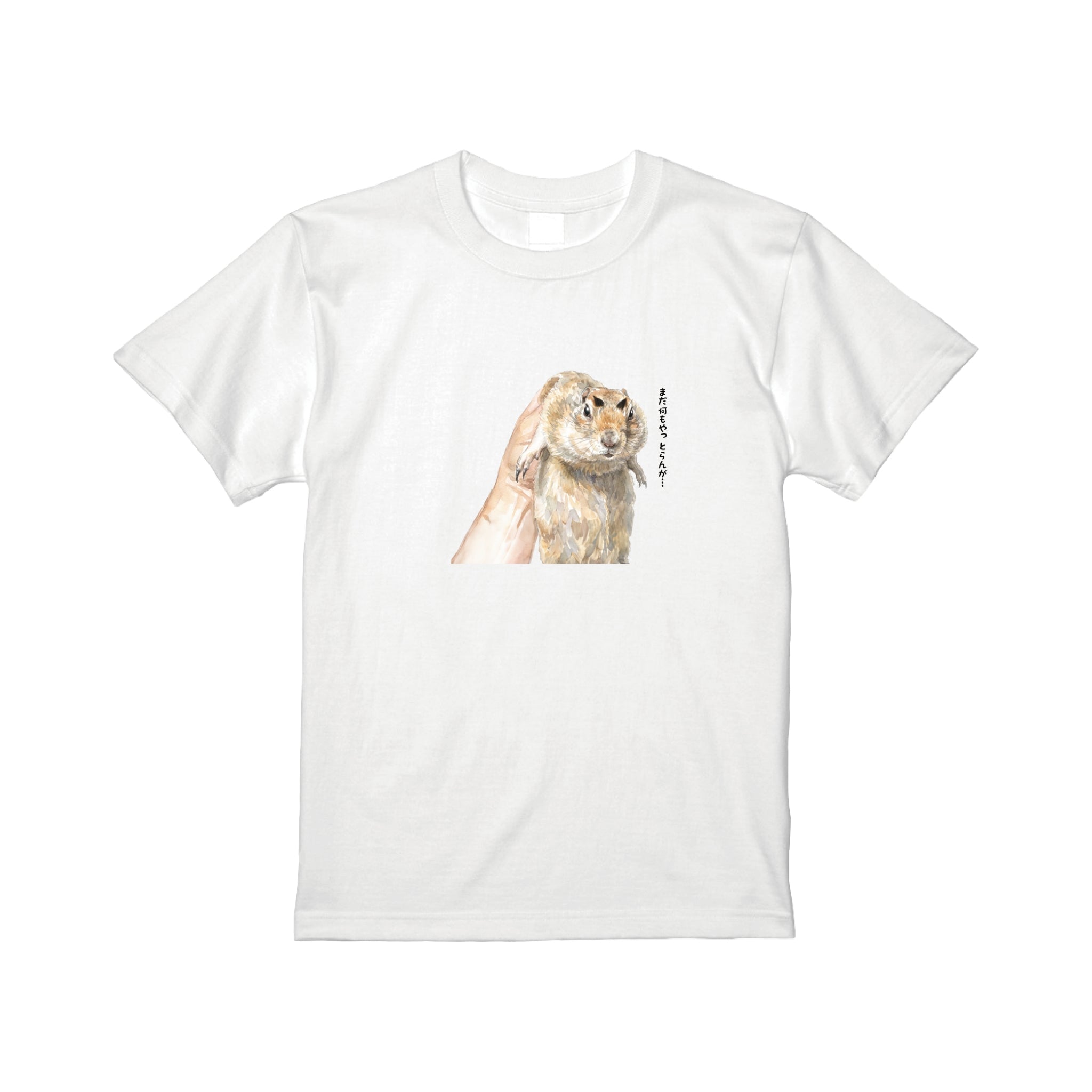 ドンちゃんTシャツ