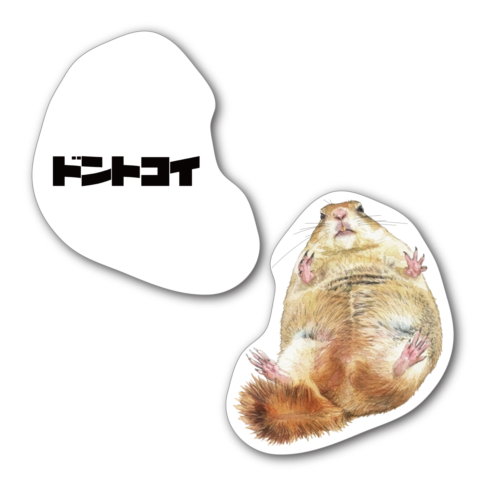 命乞いドンちゃんクッション