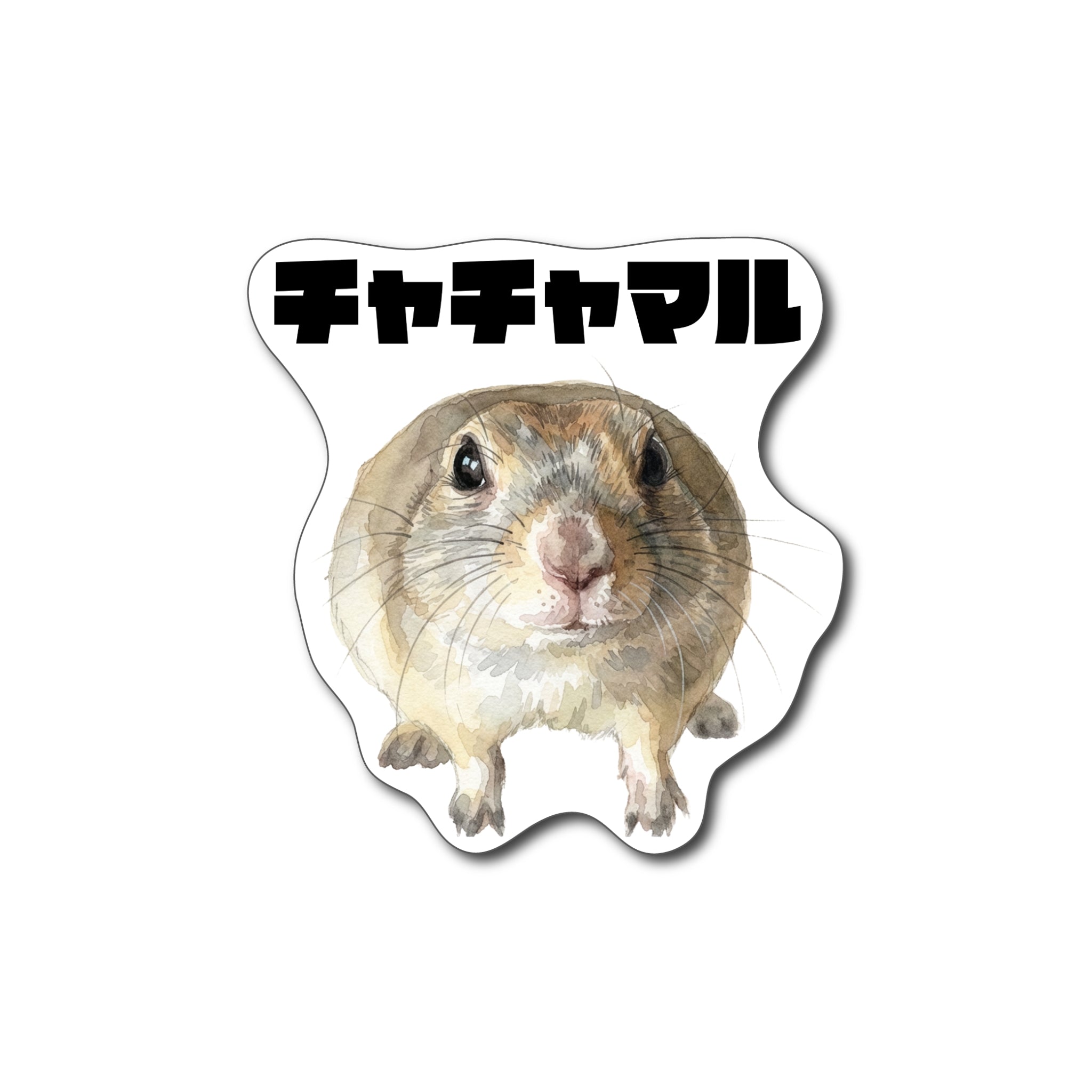 【送料無料】【耐水仕様】チャチャマルステッカー