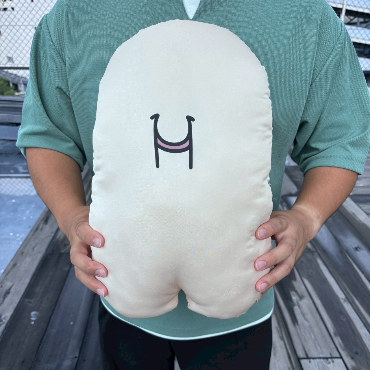 【残りわずか！！】数量限定ピーターもふもふクッション