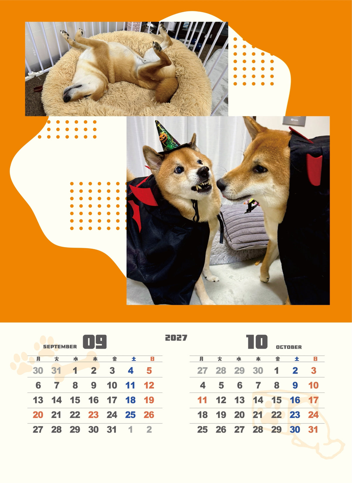 【送料無料】柴犬ロック&ボブ壁掛けカレンダー2027