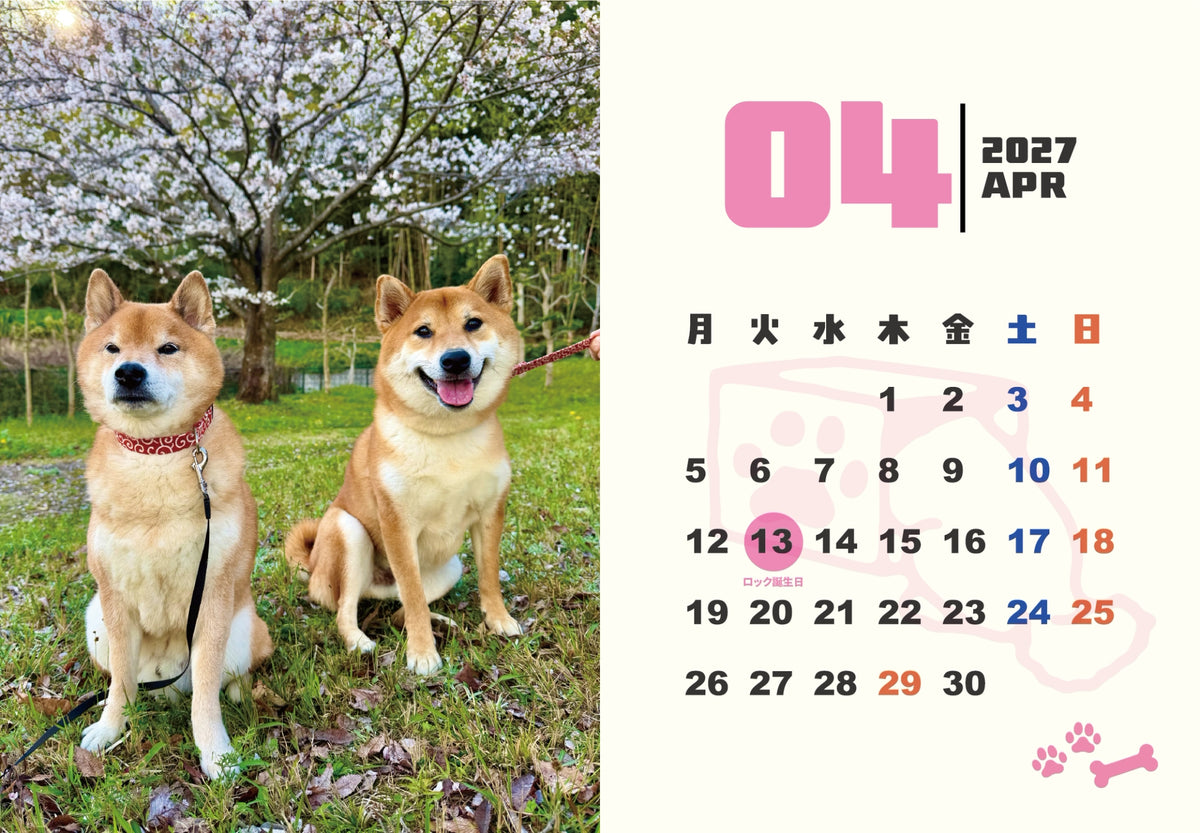 【送料無料】柴犬ロック&ボブ卓上カレンダー2027