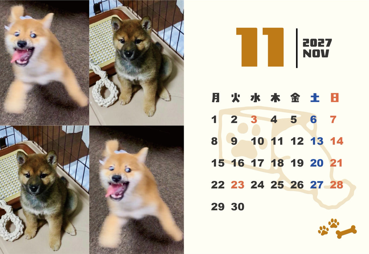 【送料無料】柴犬ロック&ボブ卓上カレンダー2027