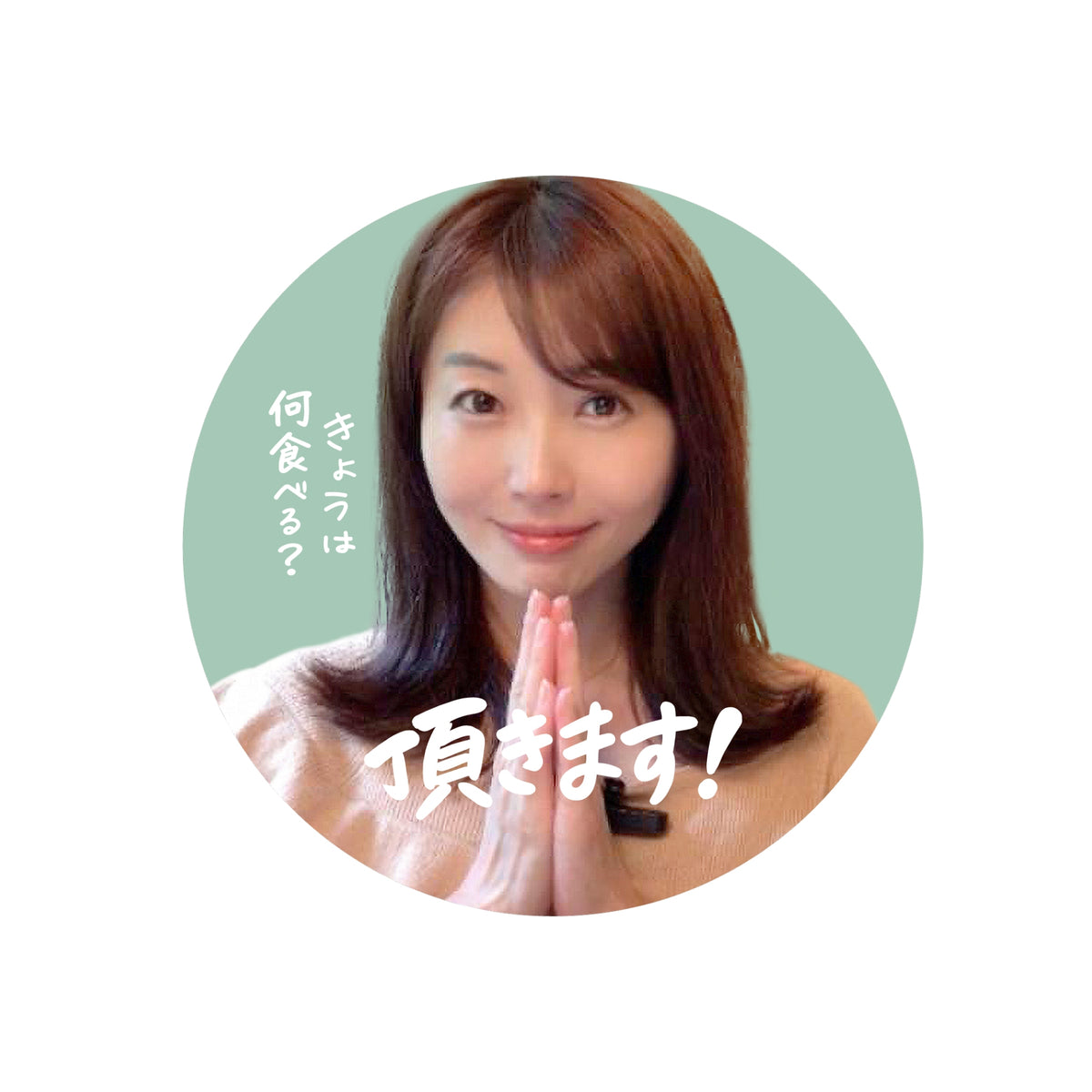 みどちゃれアイコン ステッカー
