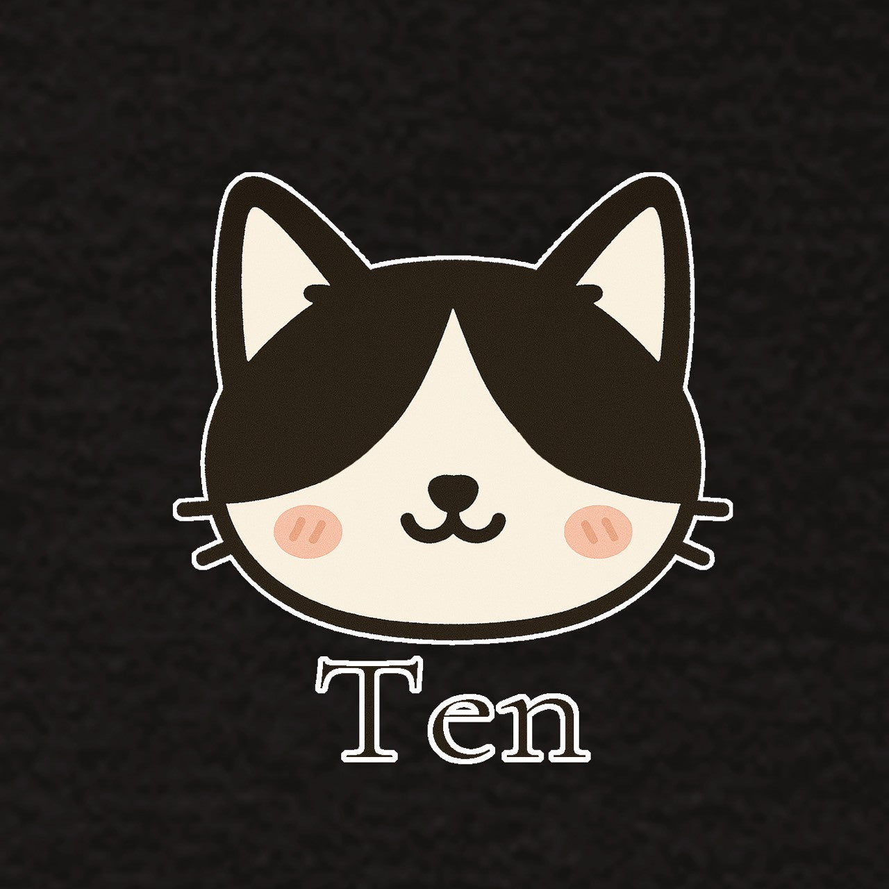 てんTシャツ
