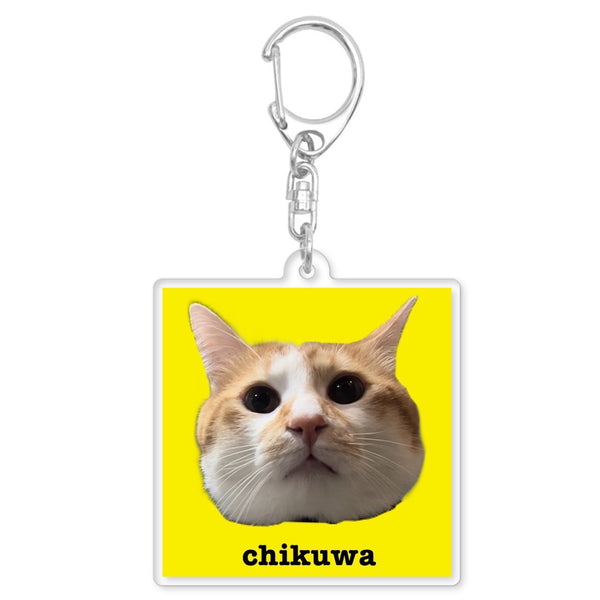 ちくわアクキー