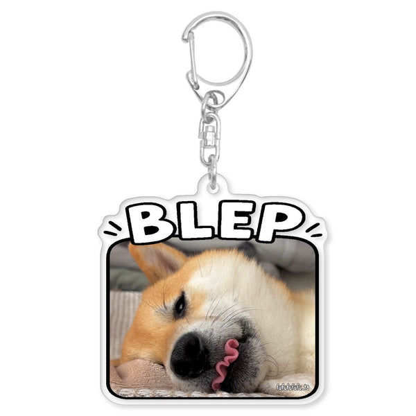 BLEPアクキー『送料無料』