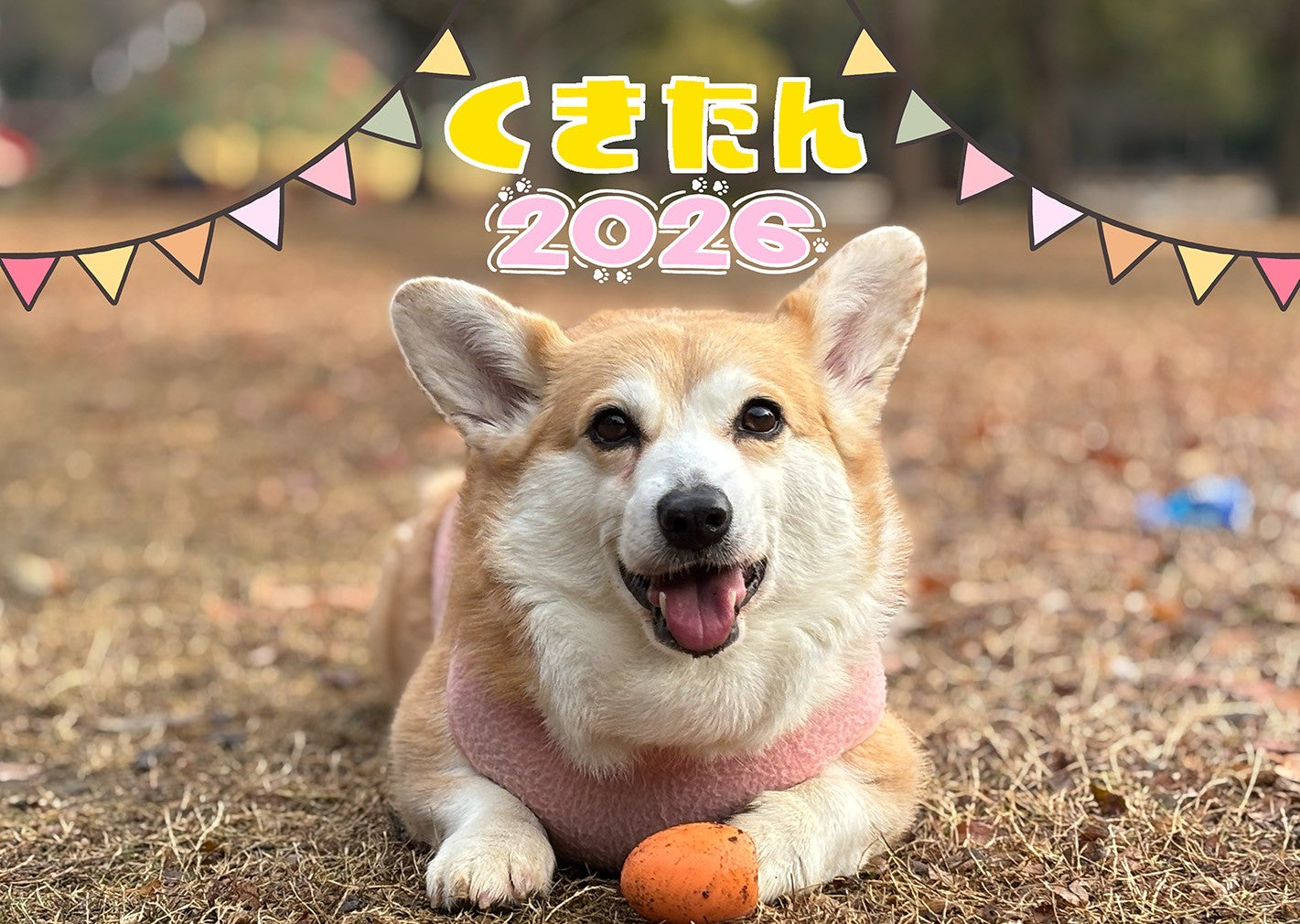 【数量限定】くきたんカレンダー(送料無料)