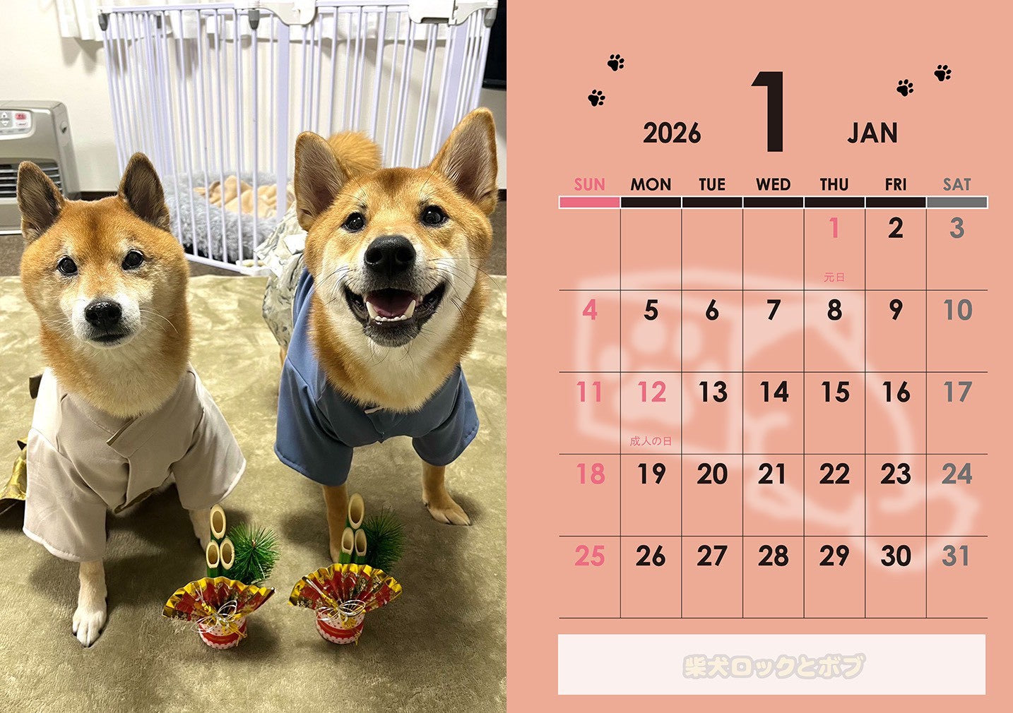 【数量限定】柴犬ロック＆ボブカレンダー2026(送料無料)