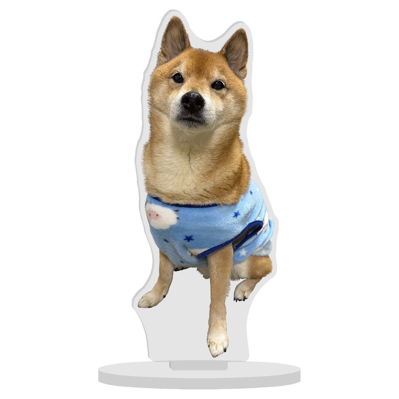 どこまで首？アクスタ(送料無料)