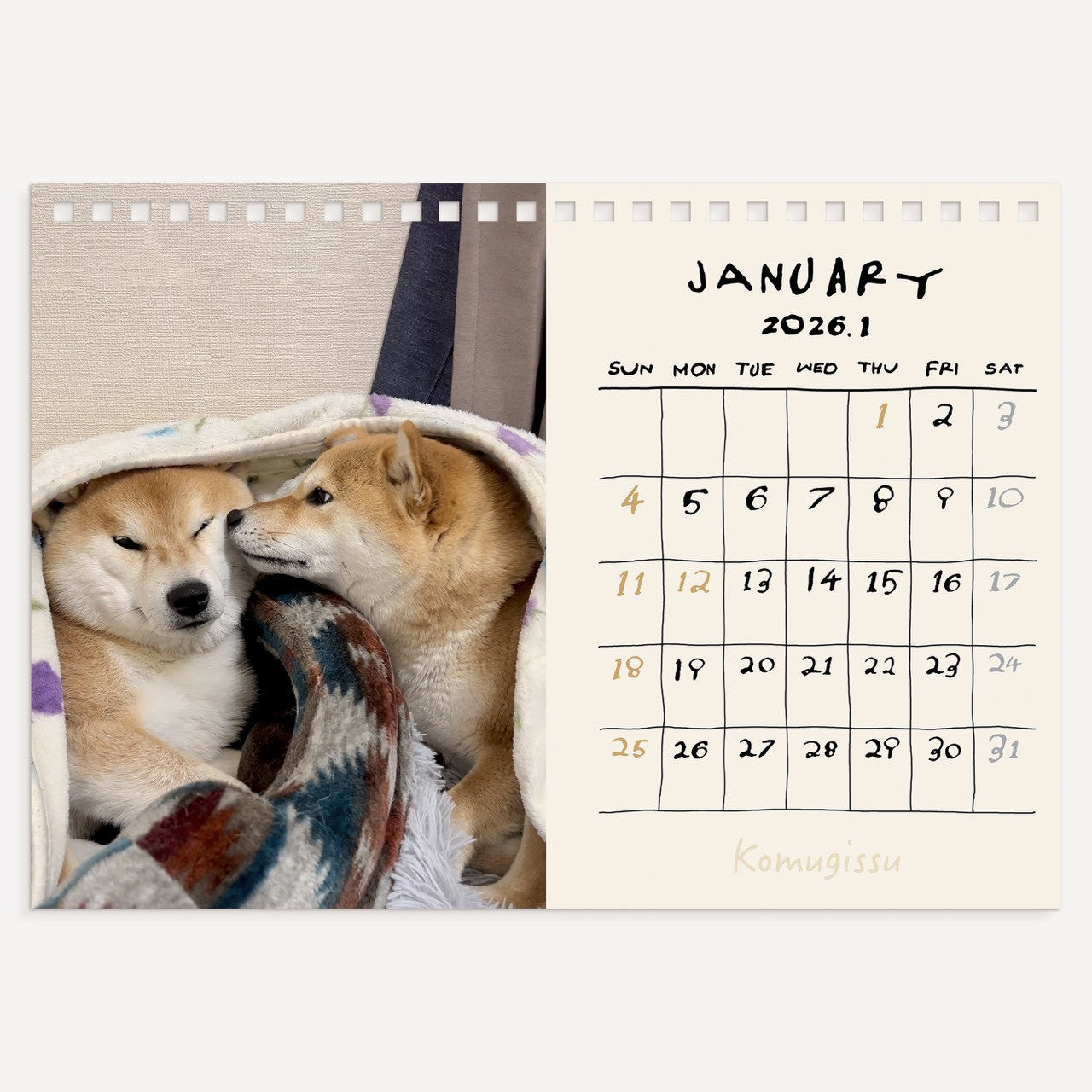 数量限定】シヴァ犬こむぎっす2026年卓上カレンダー(送料無料
