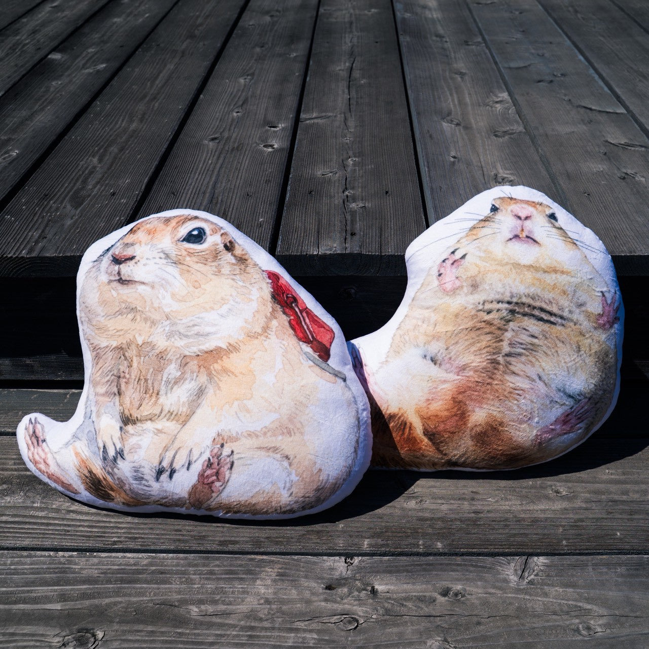 クッションセット