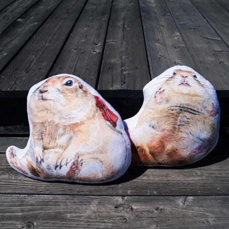 クッションセット