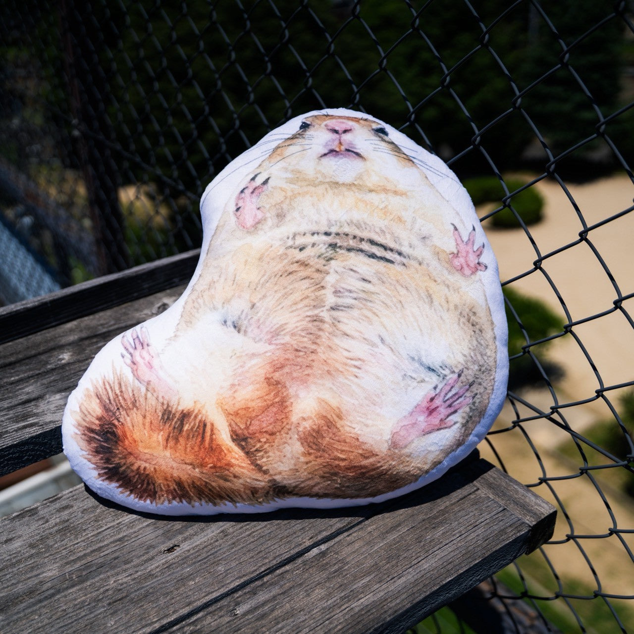 命乞いドンちゃんクッション