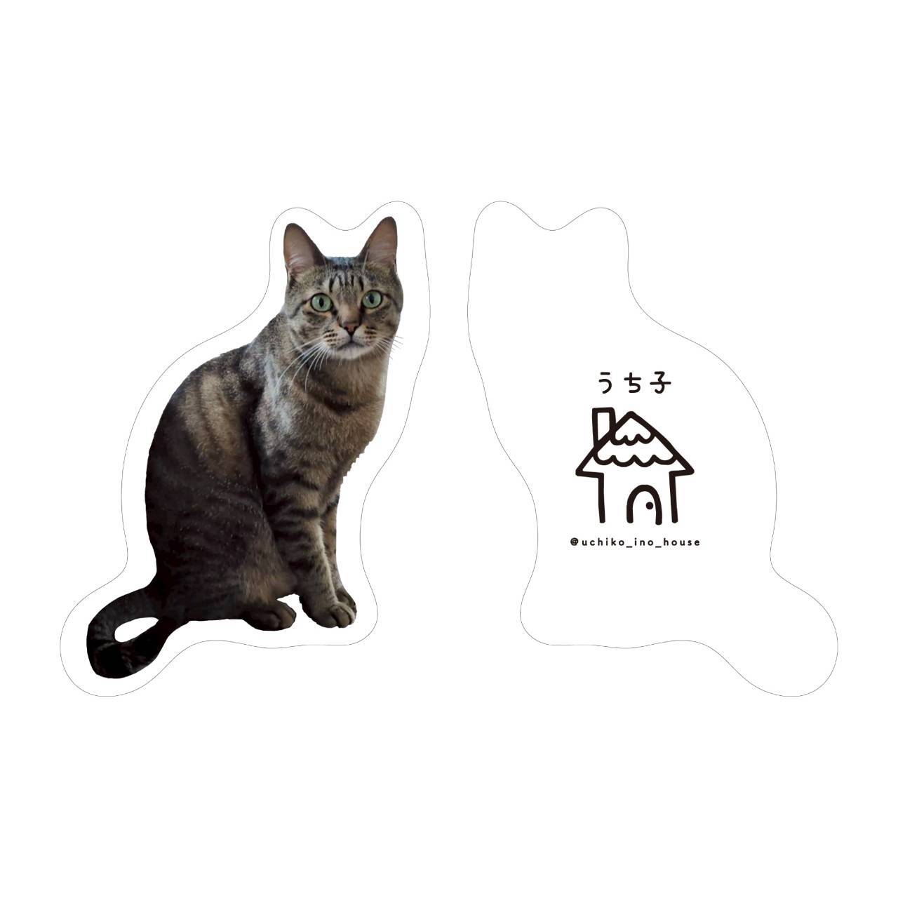 ツンデレナツくんにギューってできるクッション