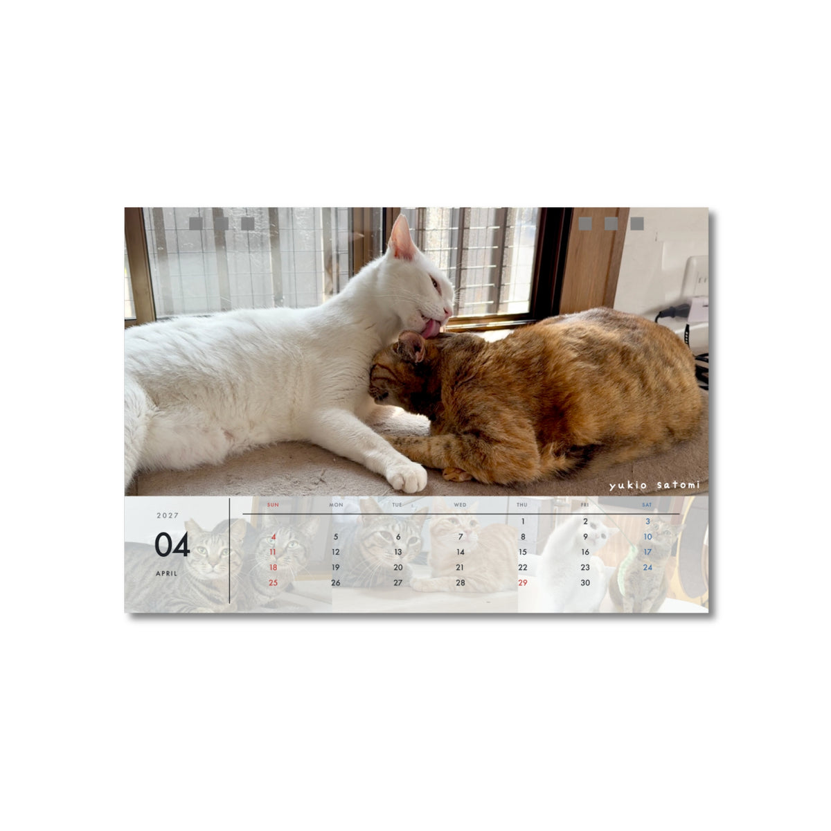 ねこまるけ2027年オリジナル卓上カレンダー