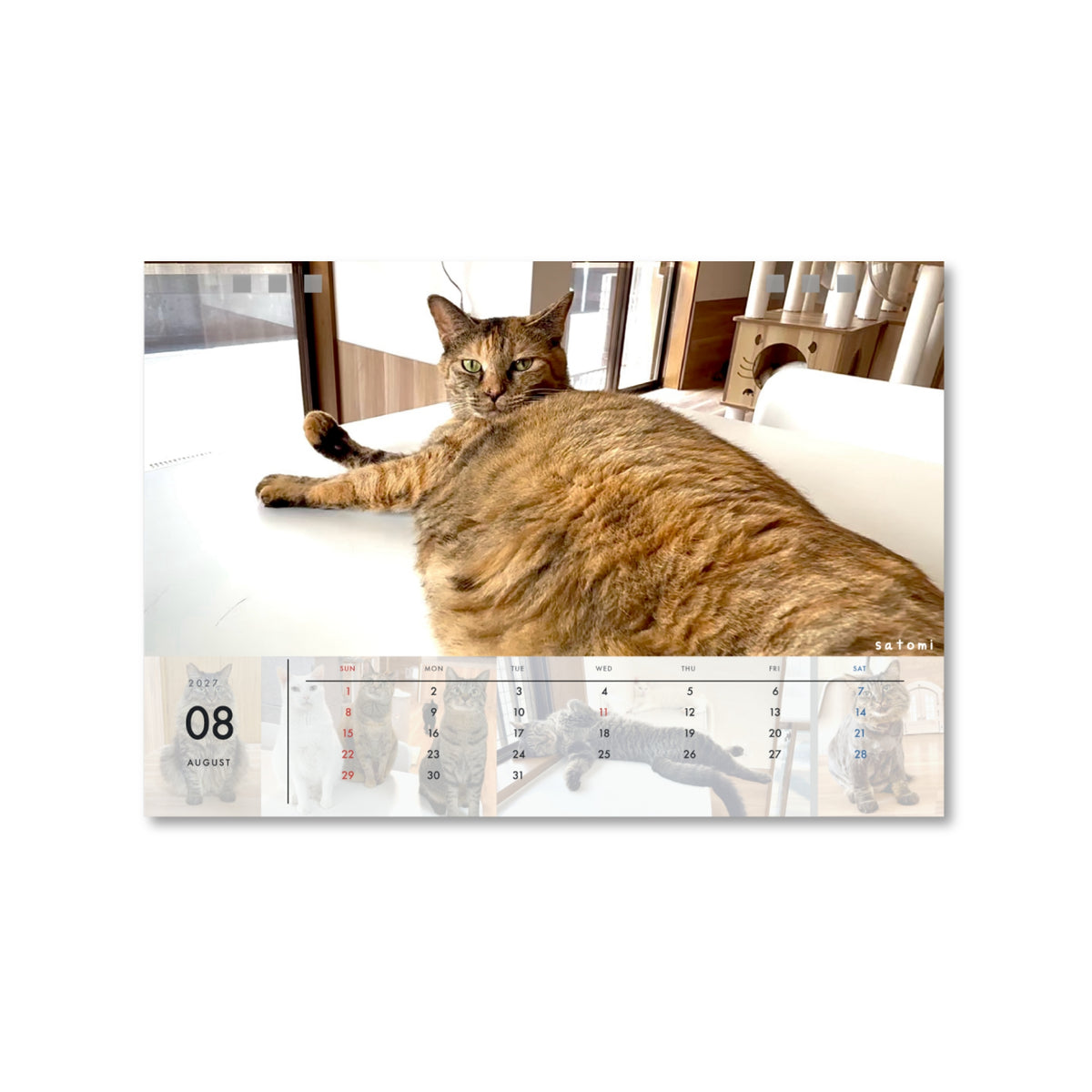 ねこまるけ2027年オリジナル卓上カレンダー