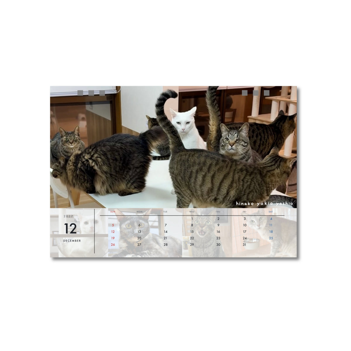 ねこまるけ2027年オリジナル卓上カレンダー
