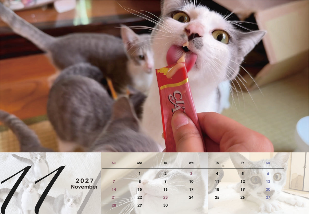 吾輩は猫を名乗っている。2027年オリジナル卓上カレンダー