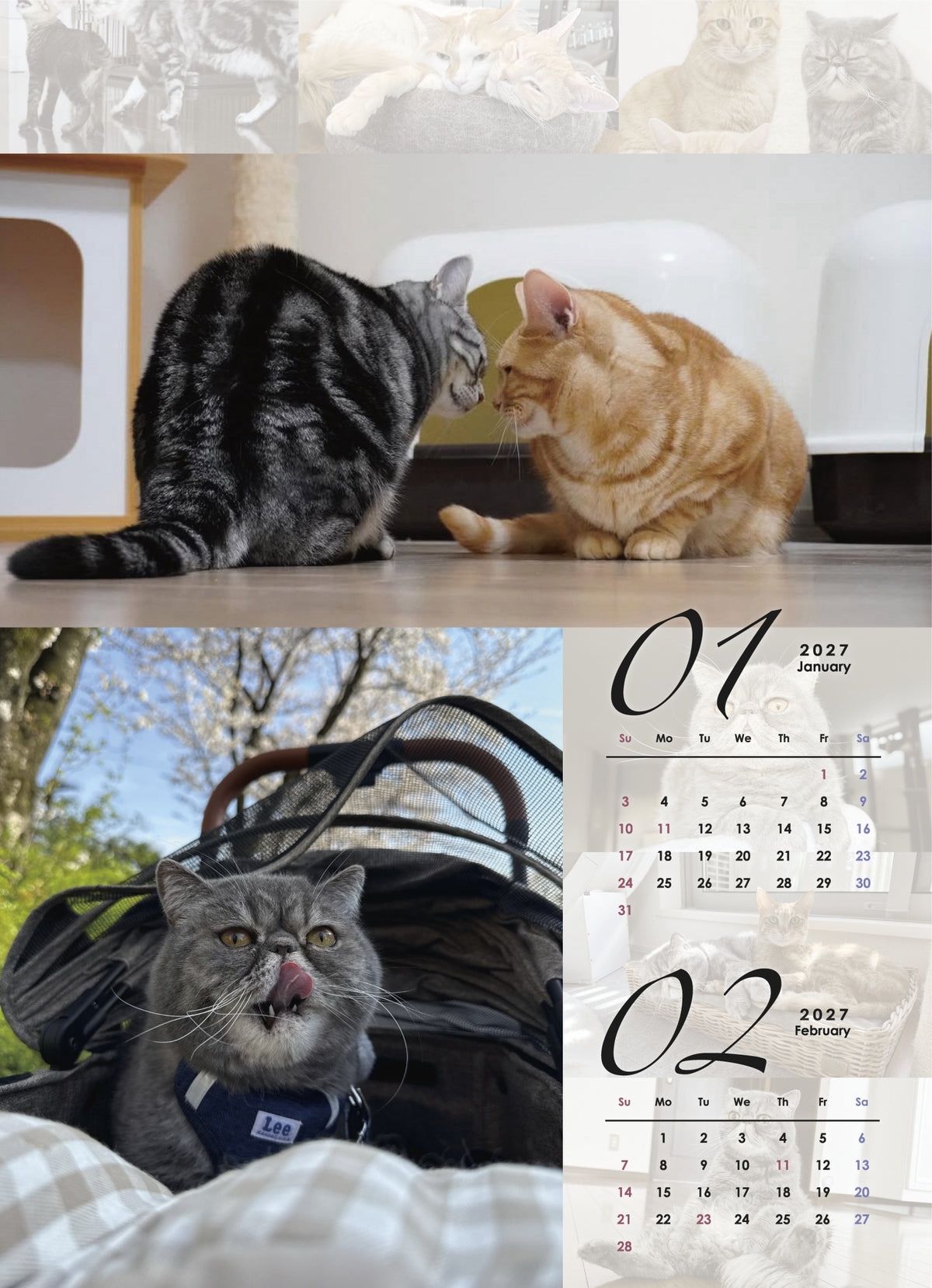 吾輩は猫を名乗っている。2027年オリジナル壁掛けカレンダー