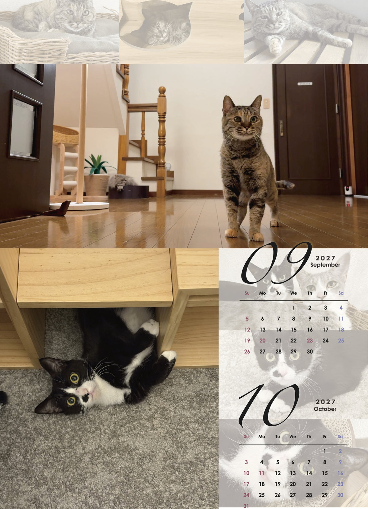 吾輩は猫を名乗っている。2027年オリジナル壁掛けカレンダー
