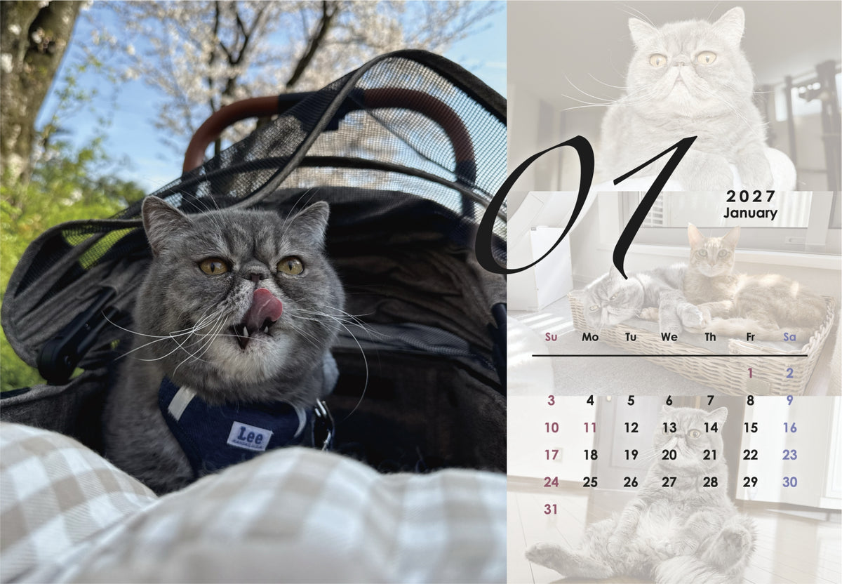 吾輩は猫を名乗っている。2027年オリジナル卓上カレンダー